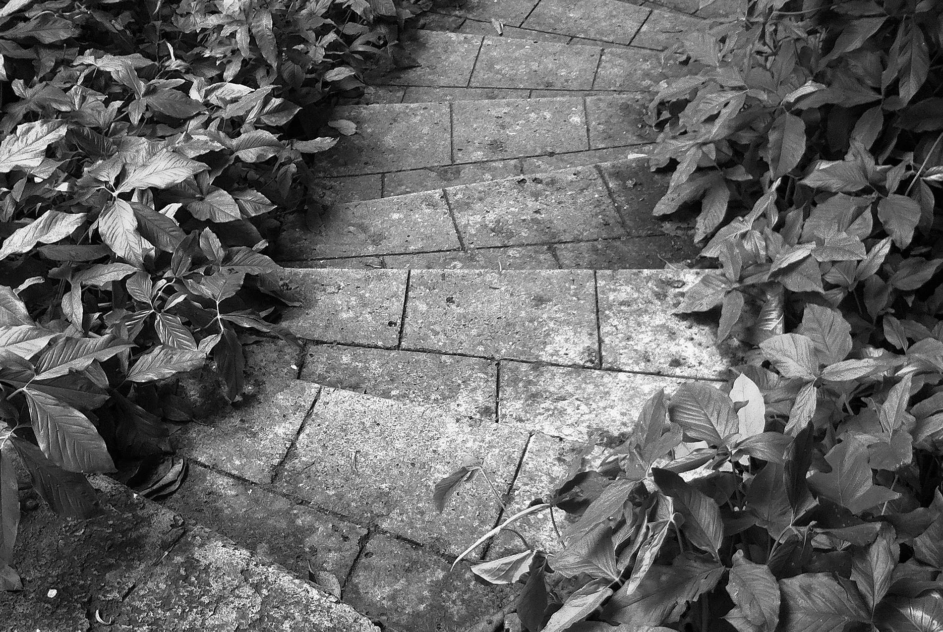 Steps, La Havana 2012