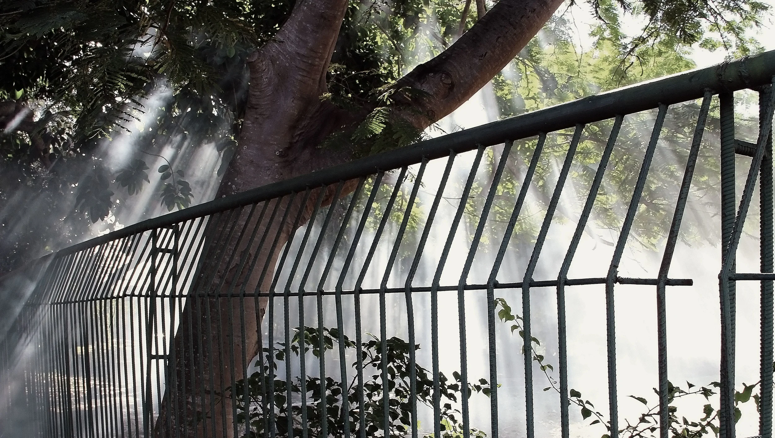 Smoke, La Havana 2012