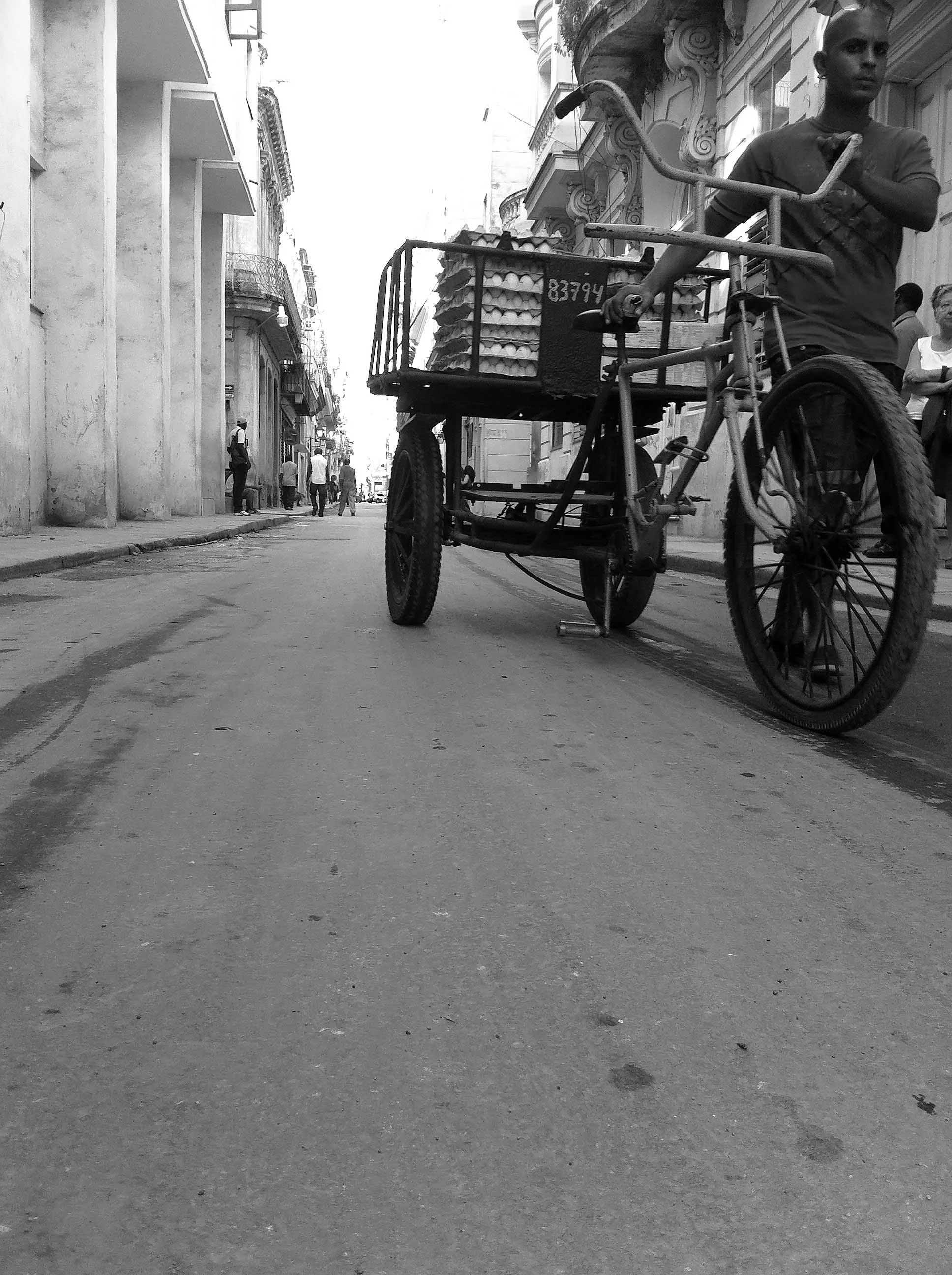 Egg man, La Havana 2012