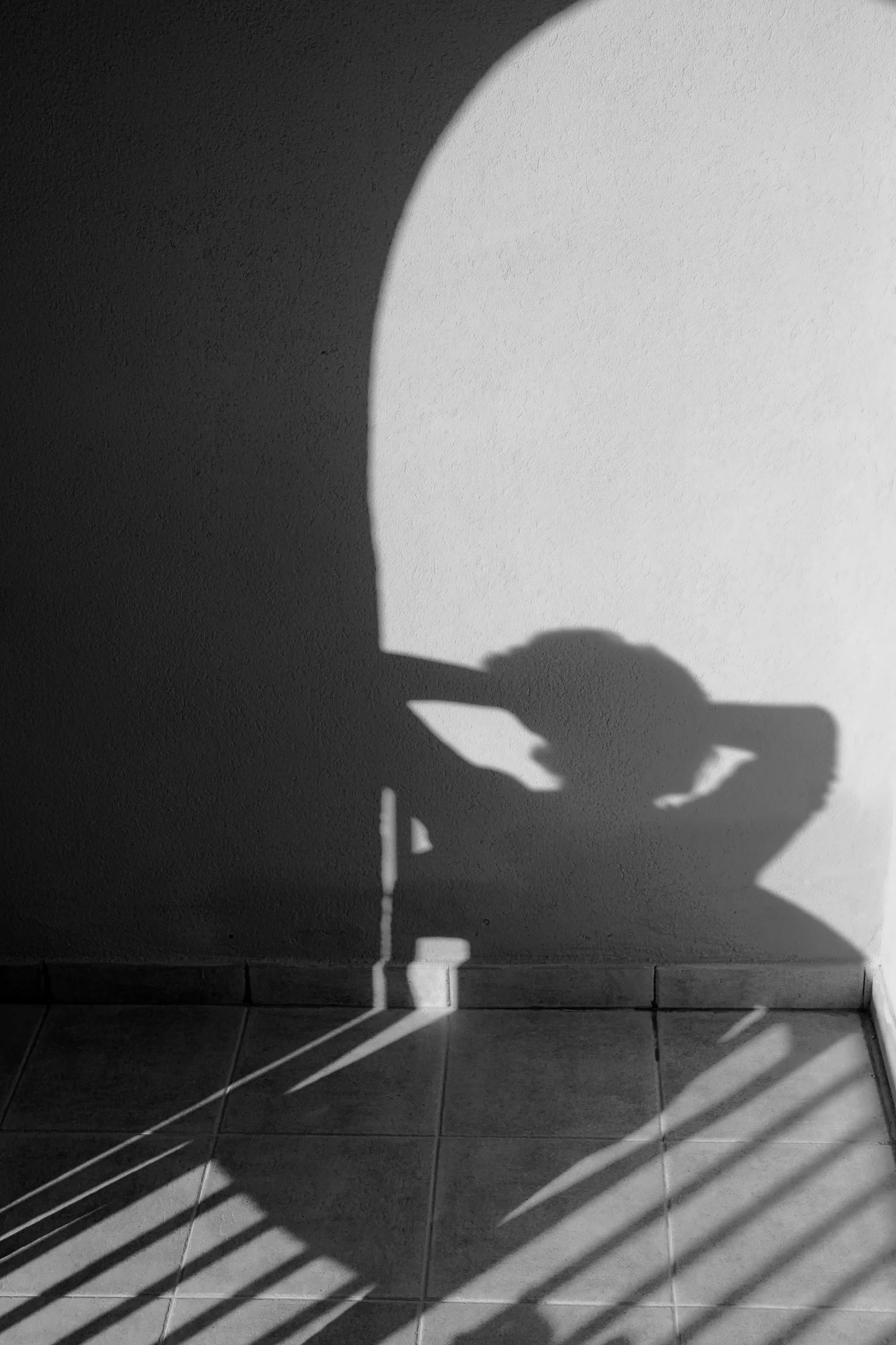 An angel, 2013