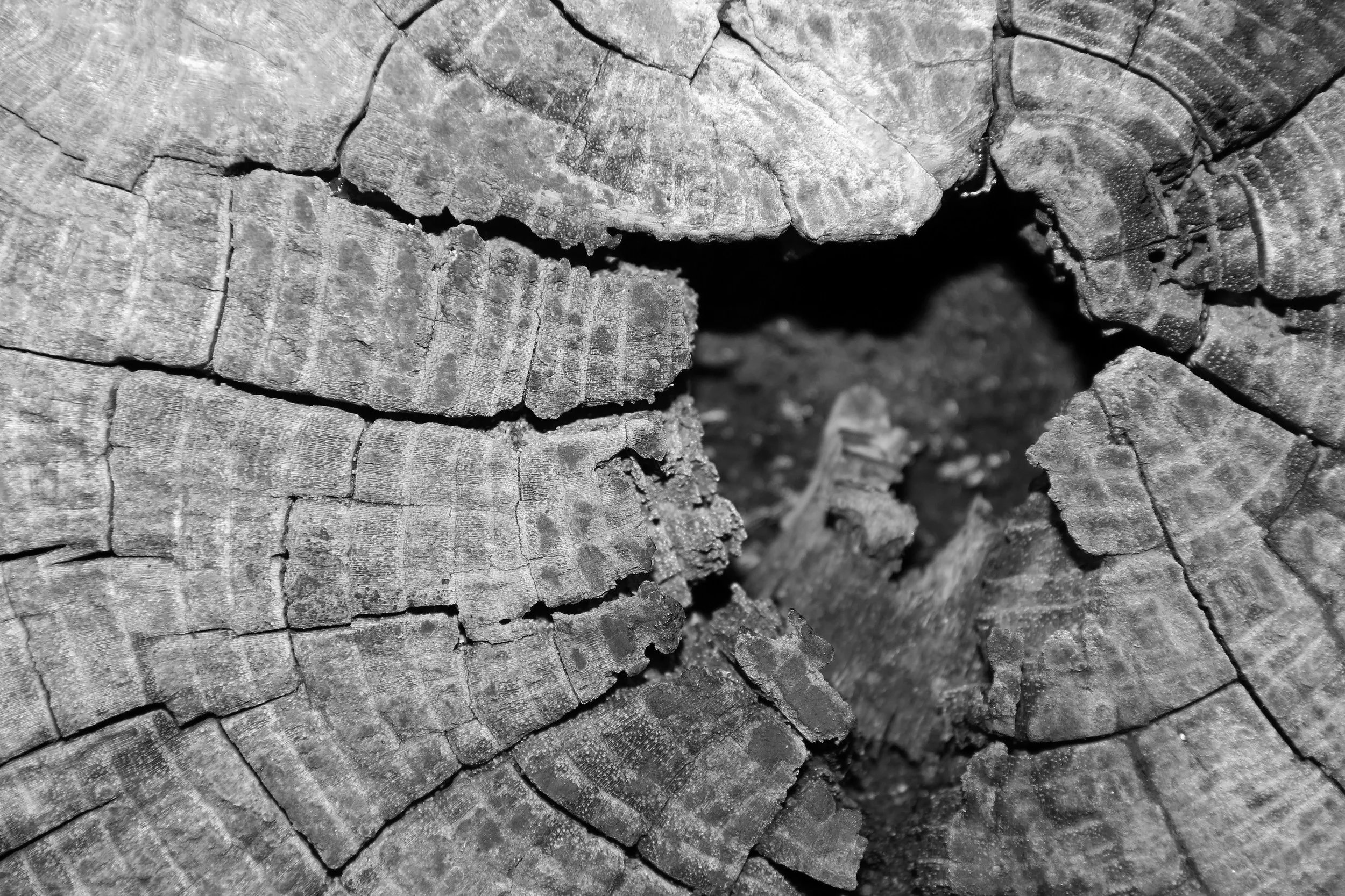 Out broken hear, Berlin 2013