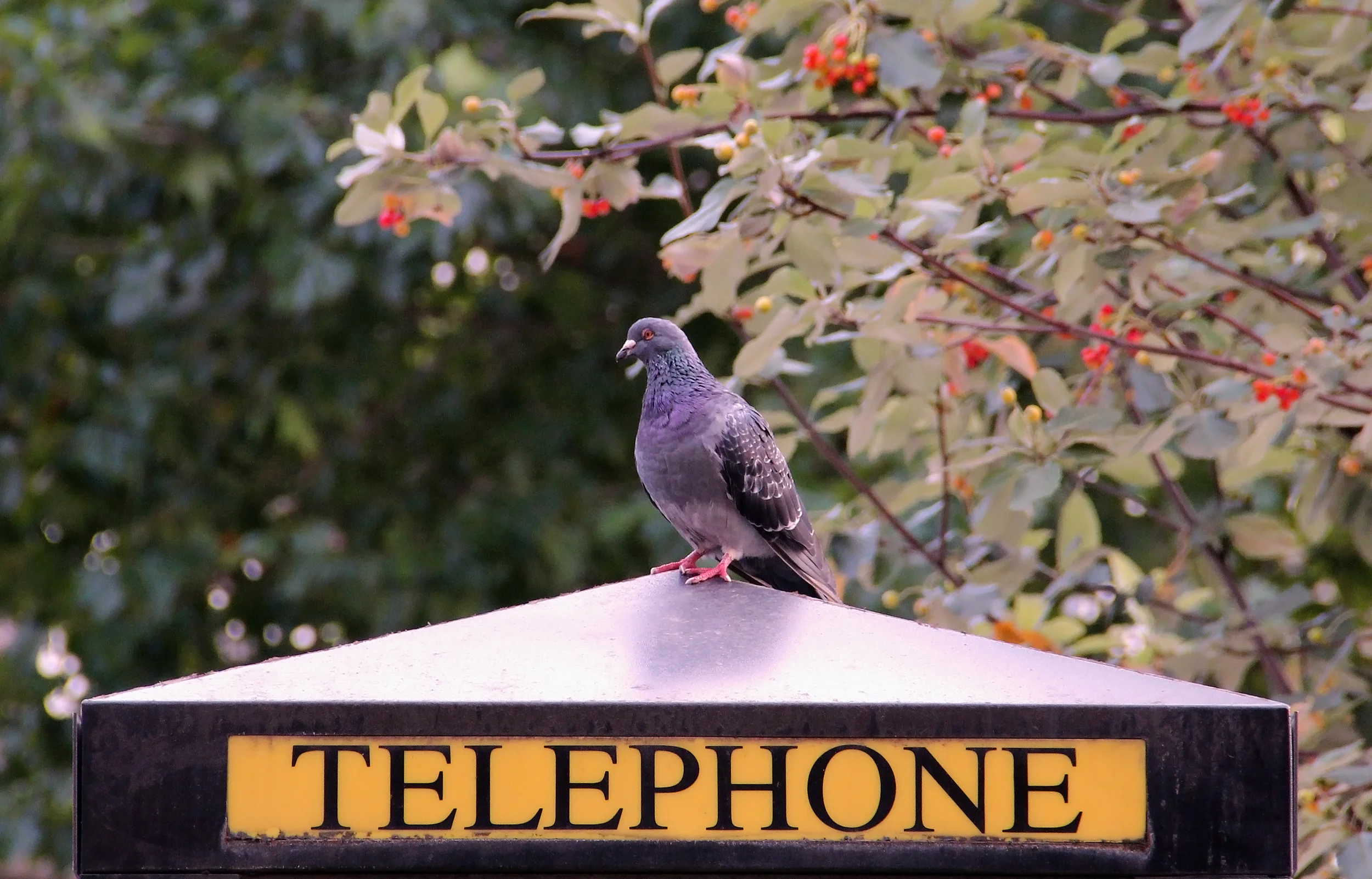 Modern communication