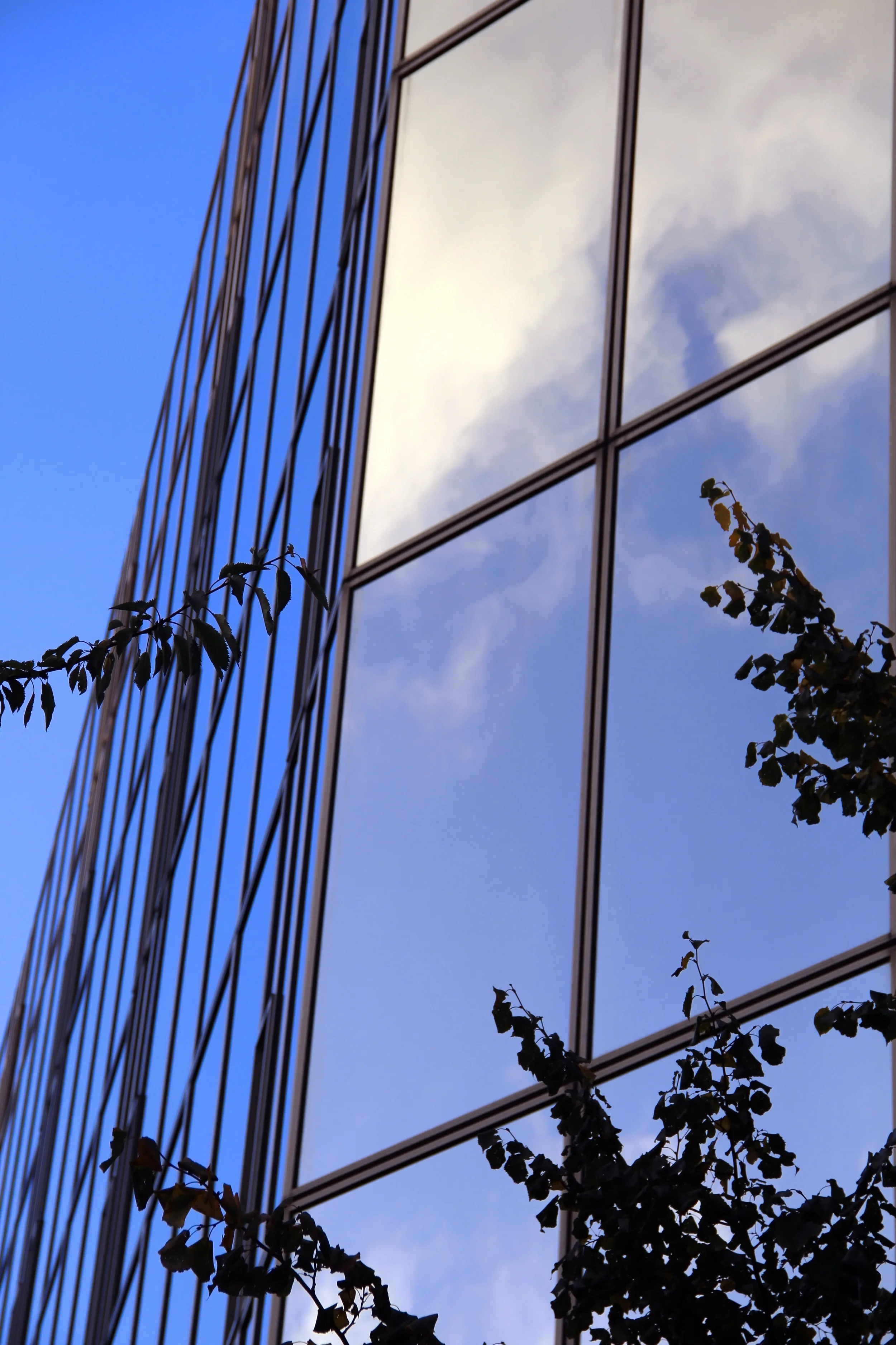 Sky mirror