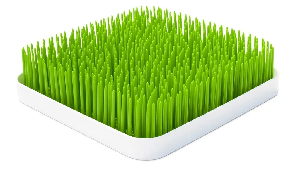 grass.jpg