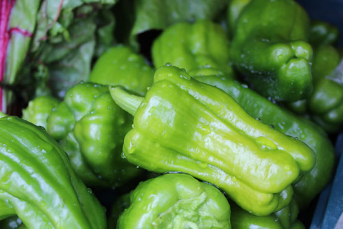 green-peppers-organic.jpg
