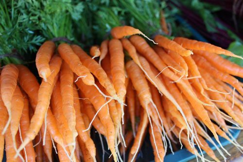 carrots-organic-templeton-farms-500.jpg