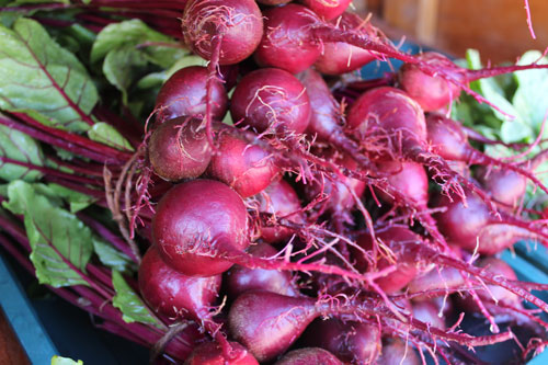 radishes-500.jpg