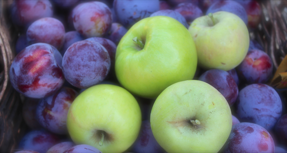 new-slider-apples-plums.jpg