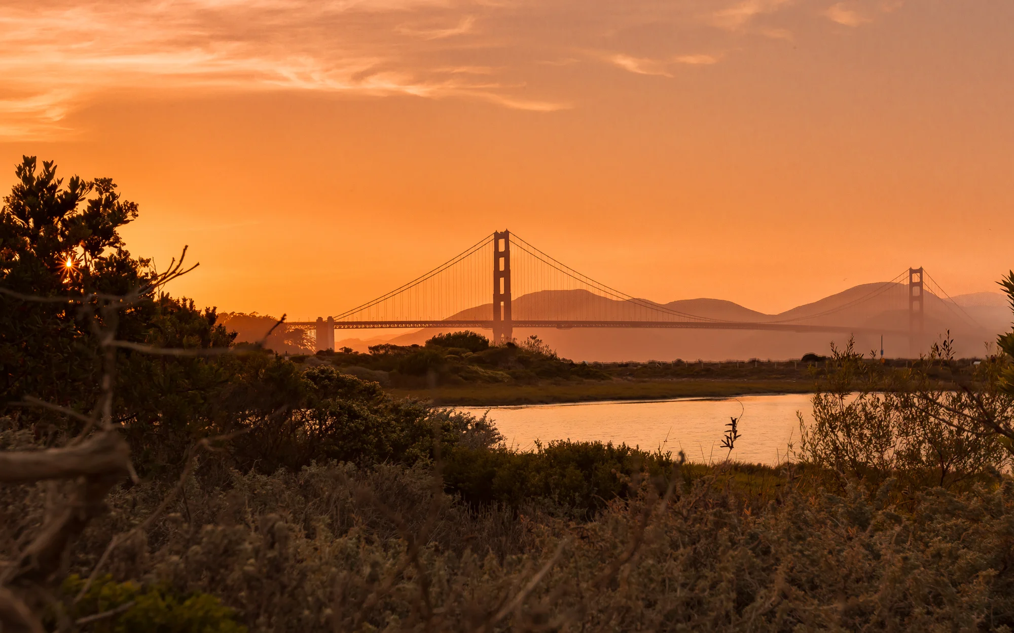 GoldenGate-WideShrubs-.jpg