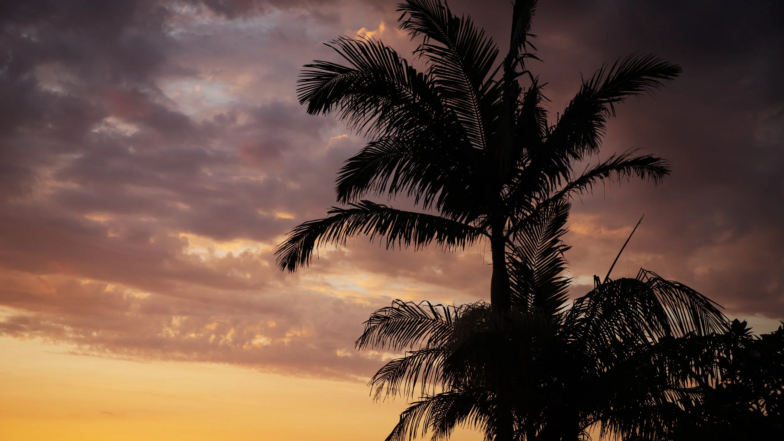 20190403-CGA-Social&Website-16x9-26.jpg (Copy)