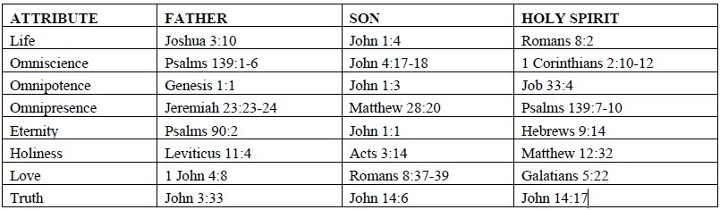 trinity attributes chart.jpg