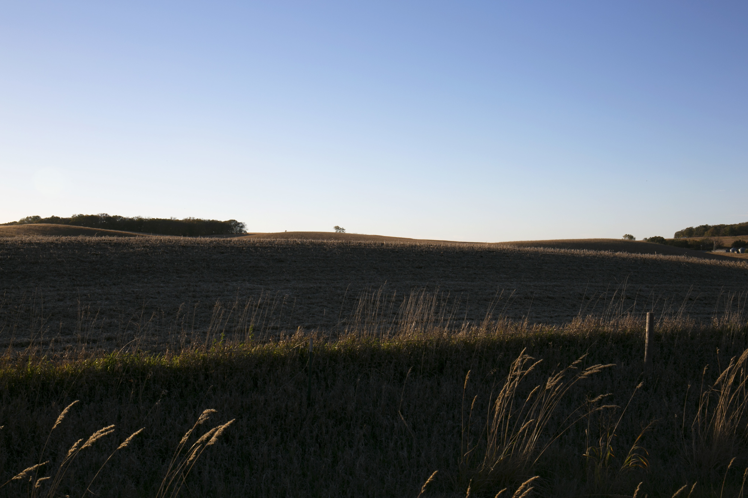 sunset_hills_08.jpg