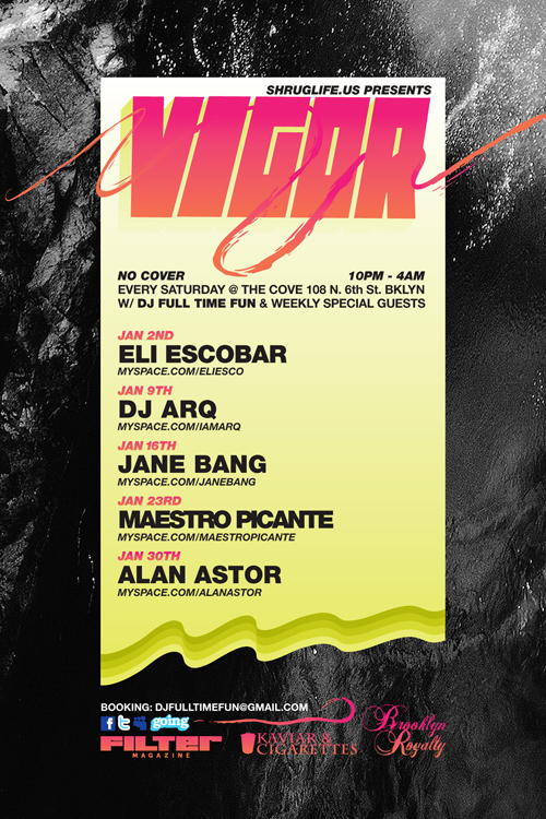 VIGOR FLYER