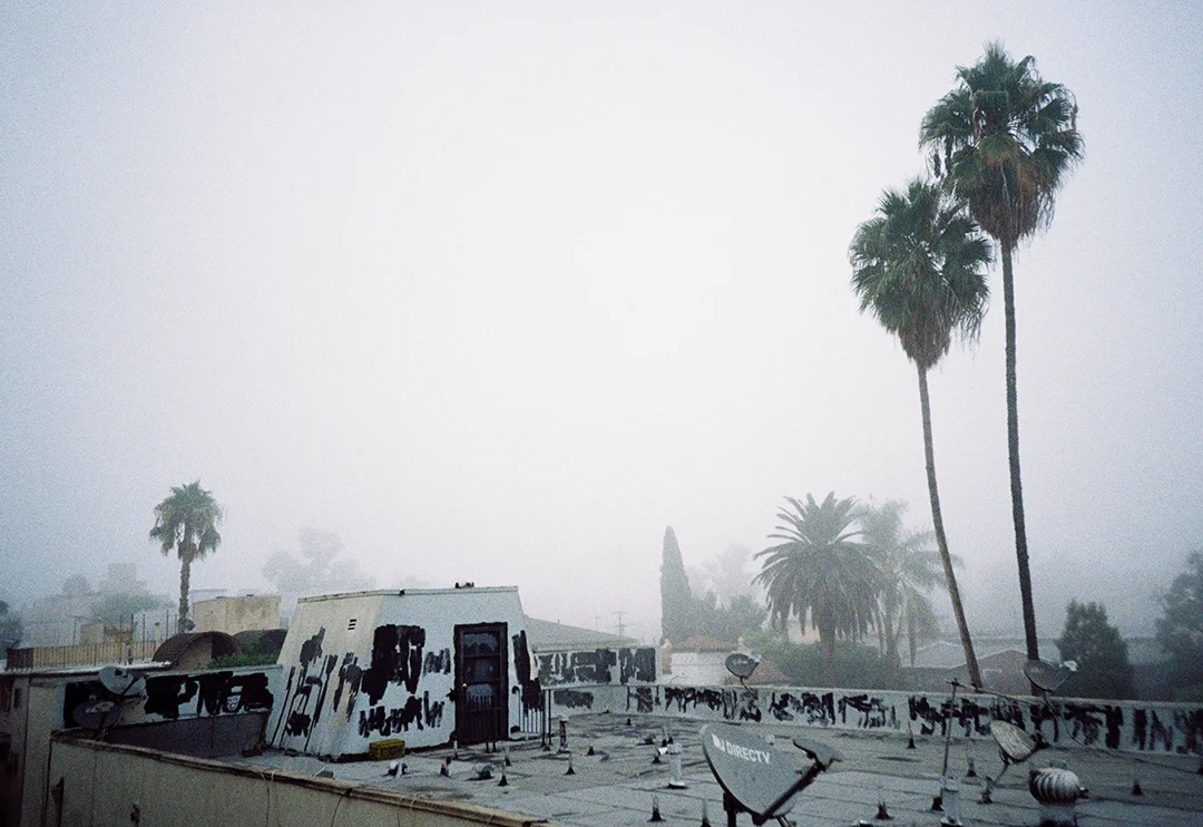 foggy.jpg