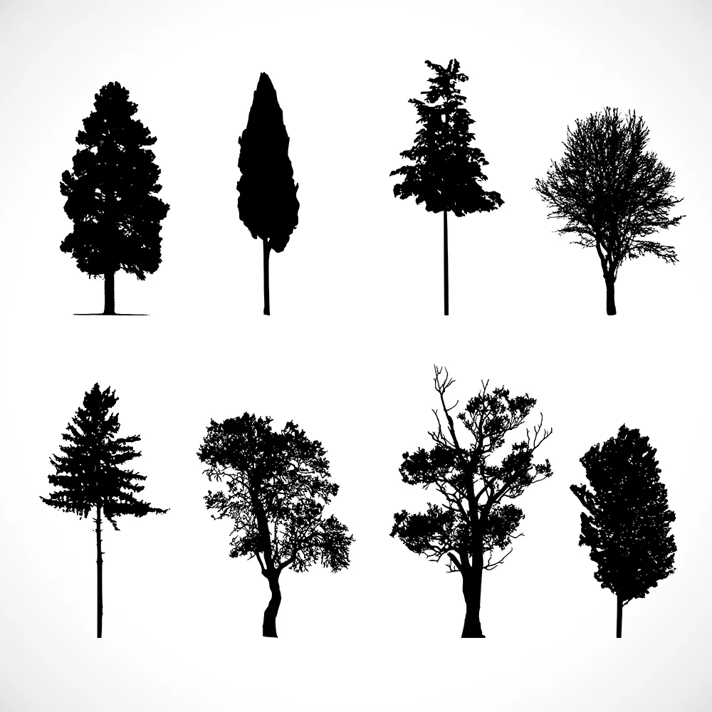 Tree Gate 3.jpg