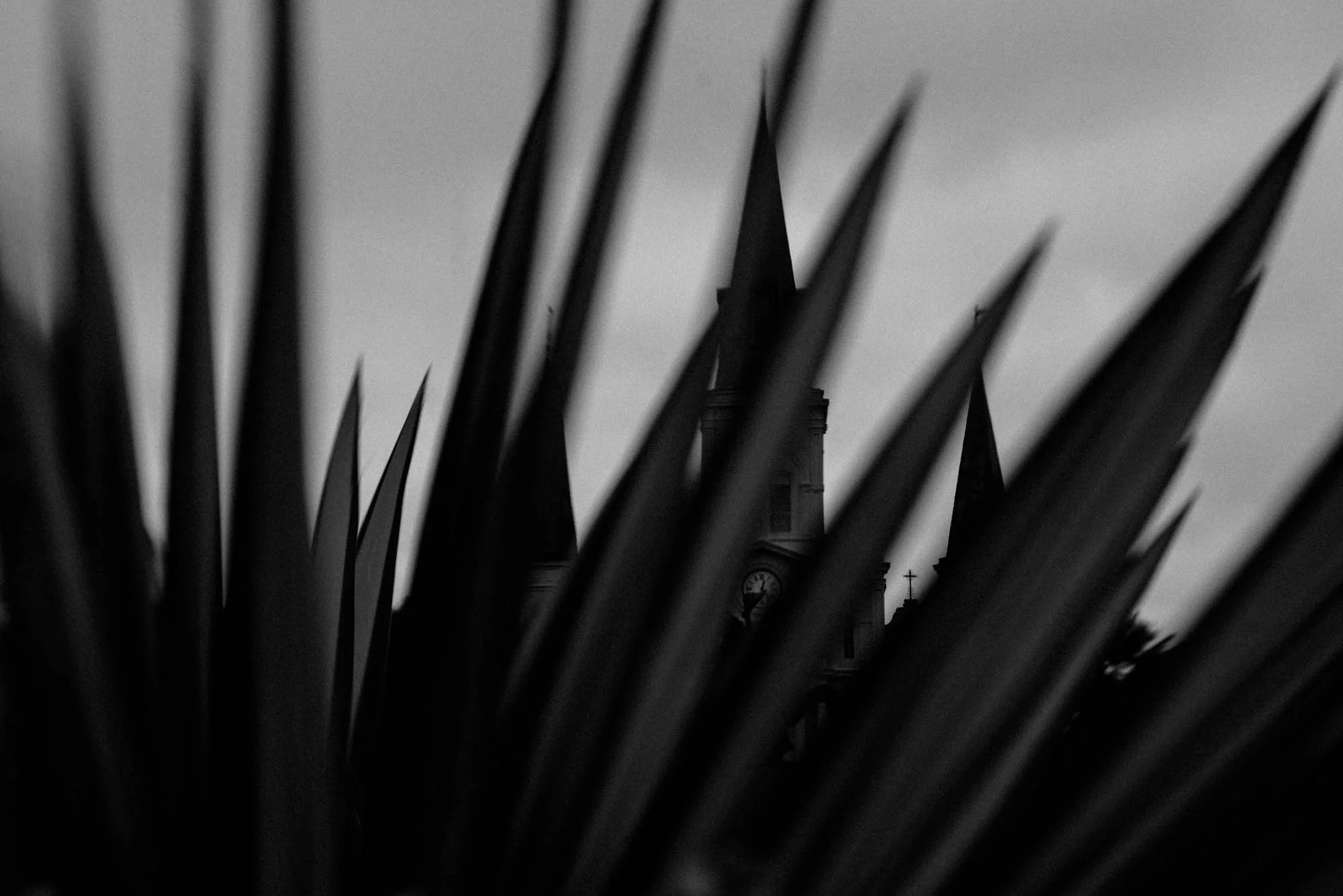 The Antiquated Charms of the French Quarter