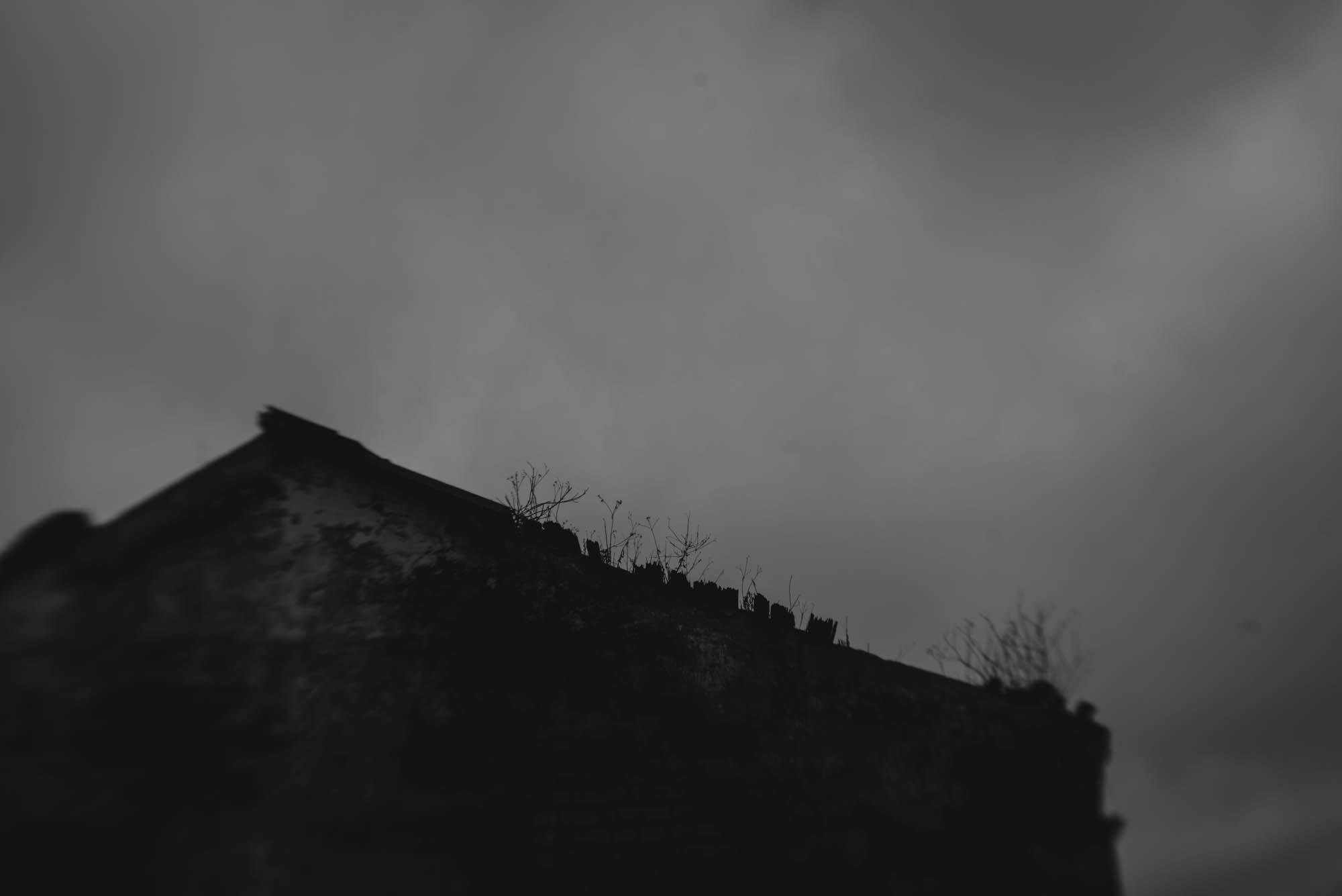 Carlos_Detres_Photography_Brugal_ForWeb_20150314_0414.jpg