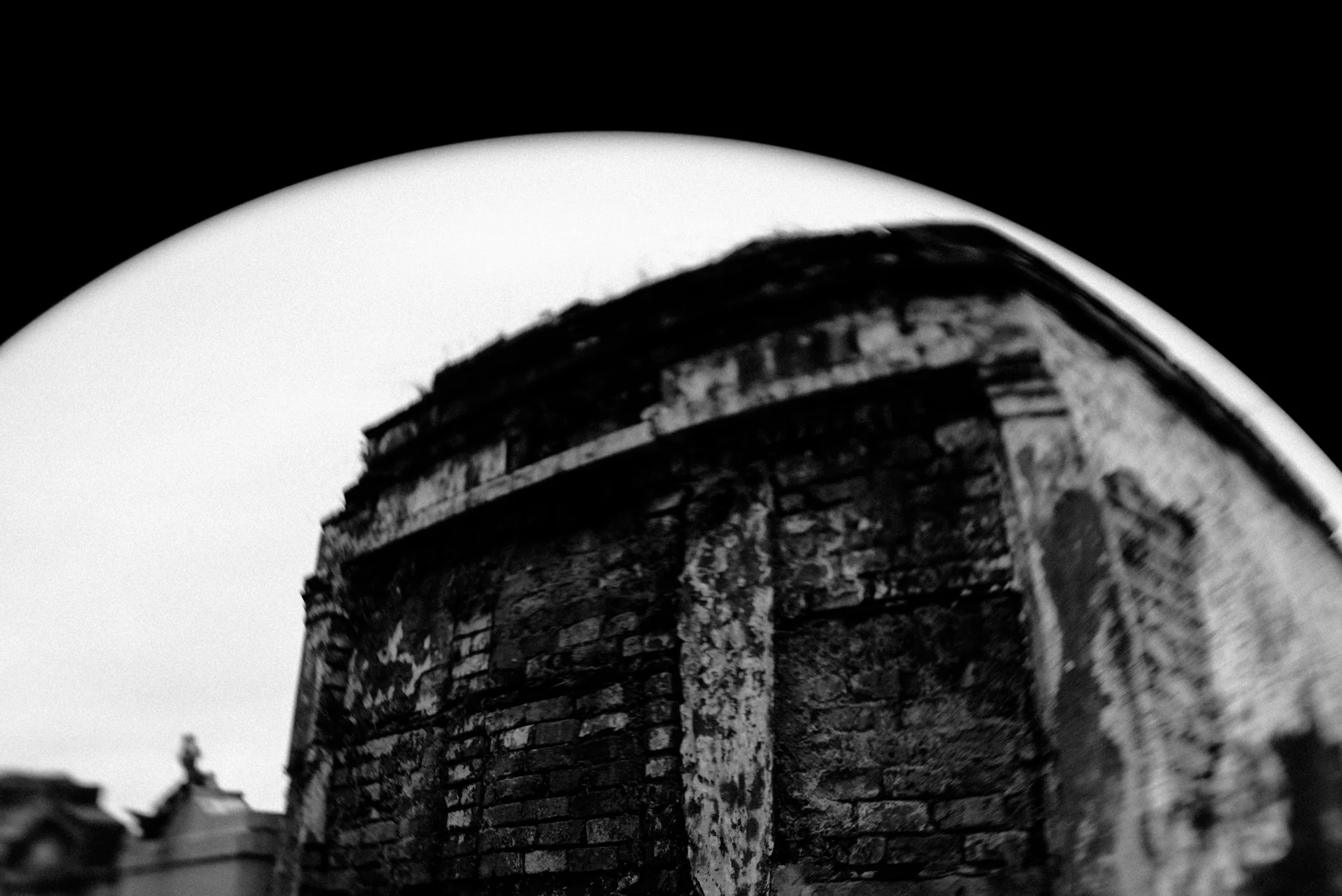 Walking Among the Ruins