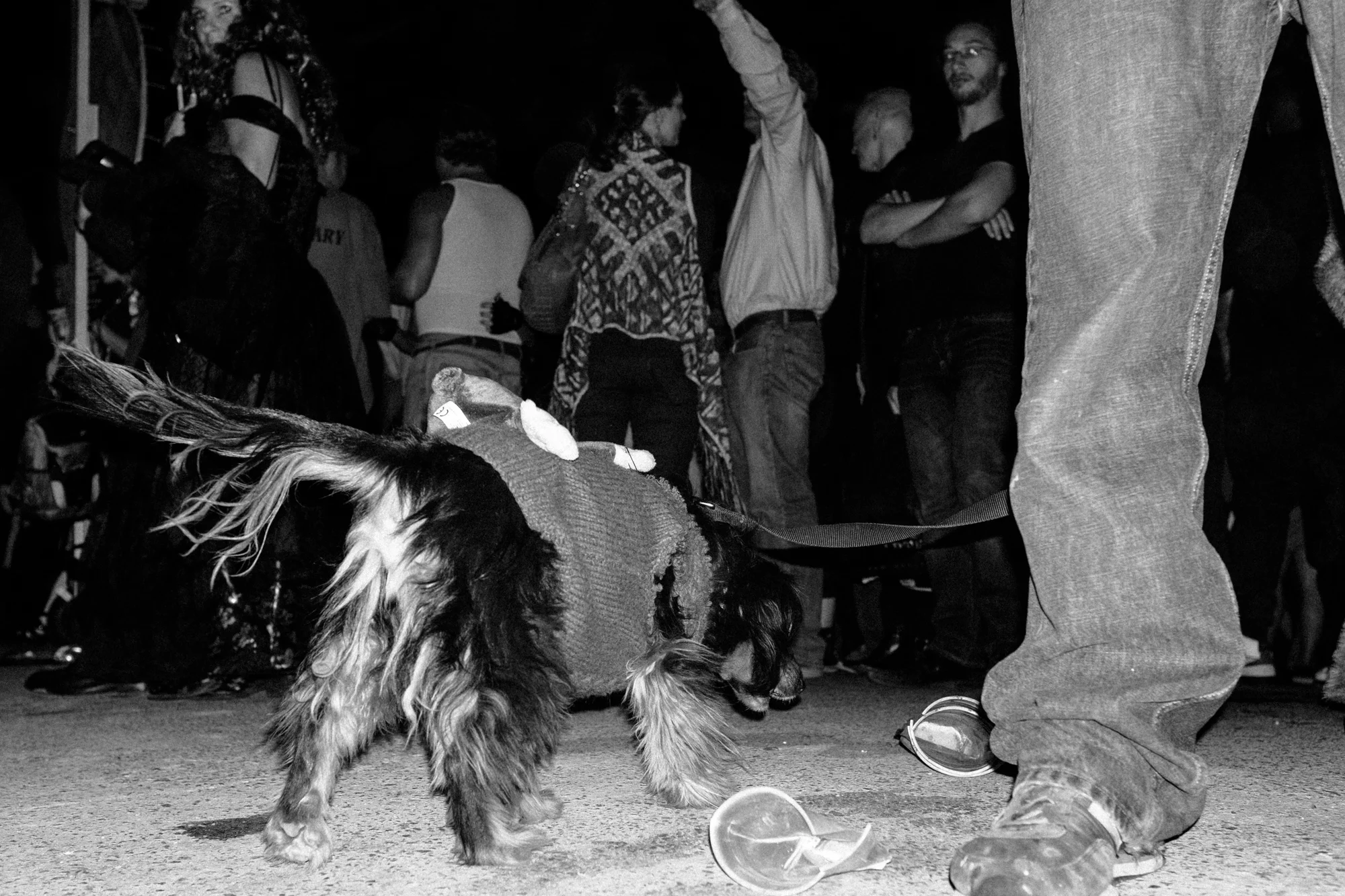 Shooting on the Streets of New Orleans