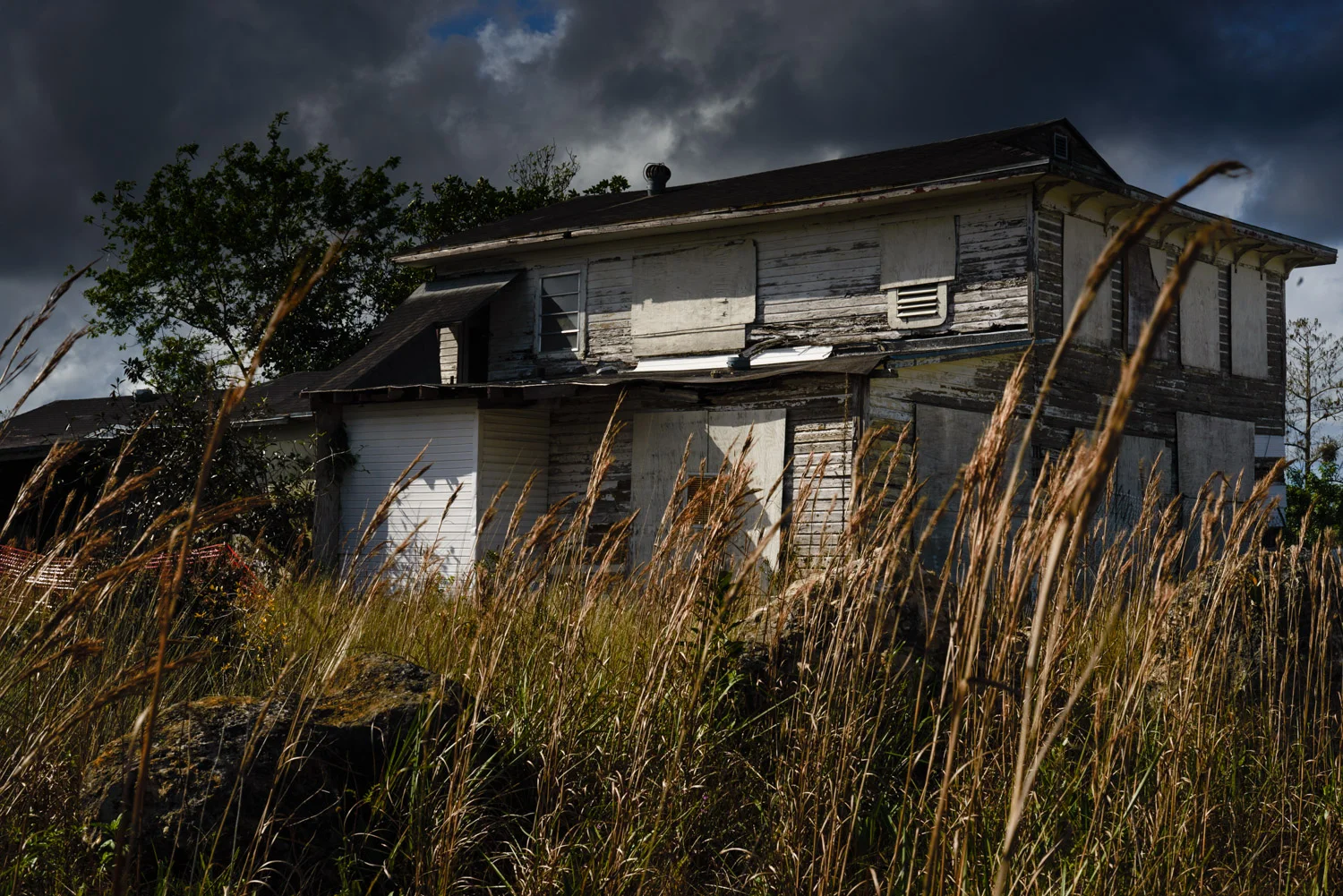 Florida -- It's Where I Grew Up