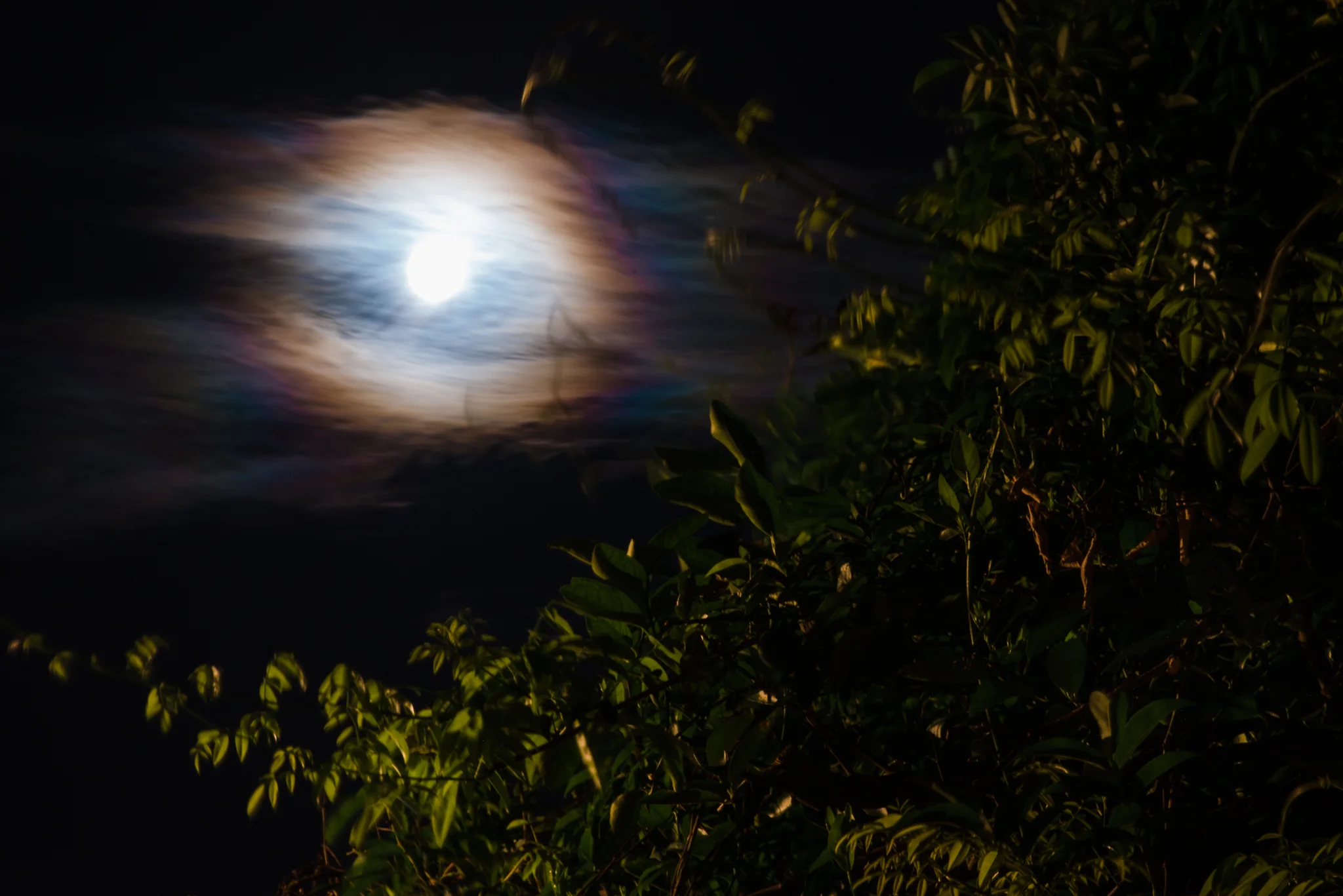 A full moon over New Orleans, LA.