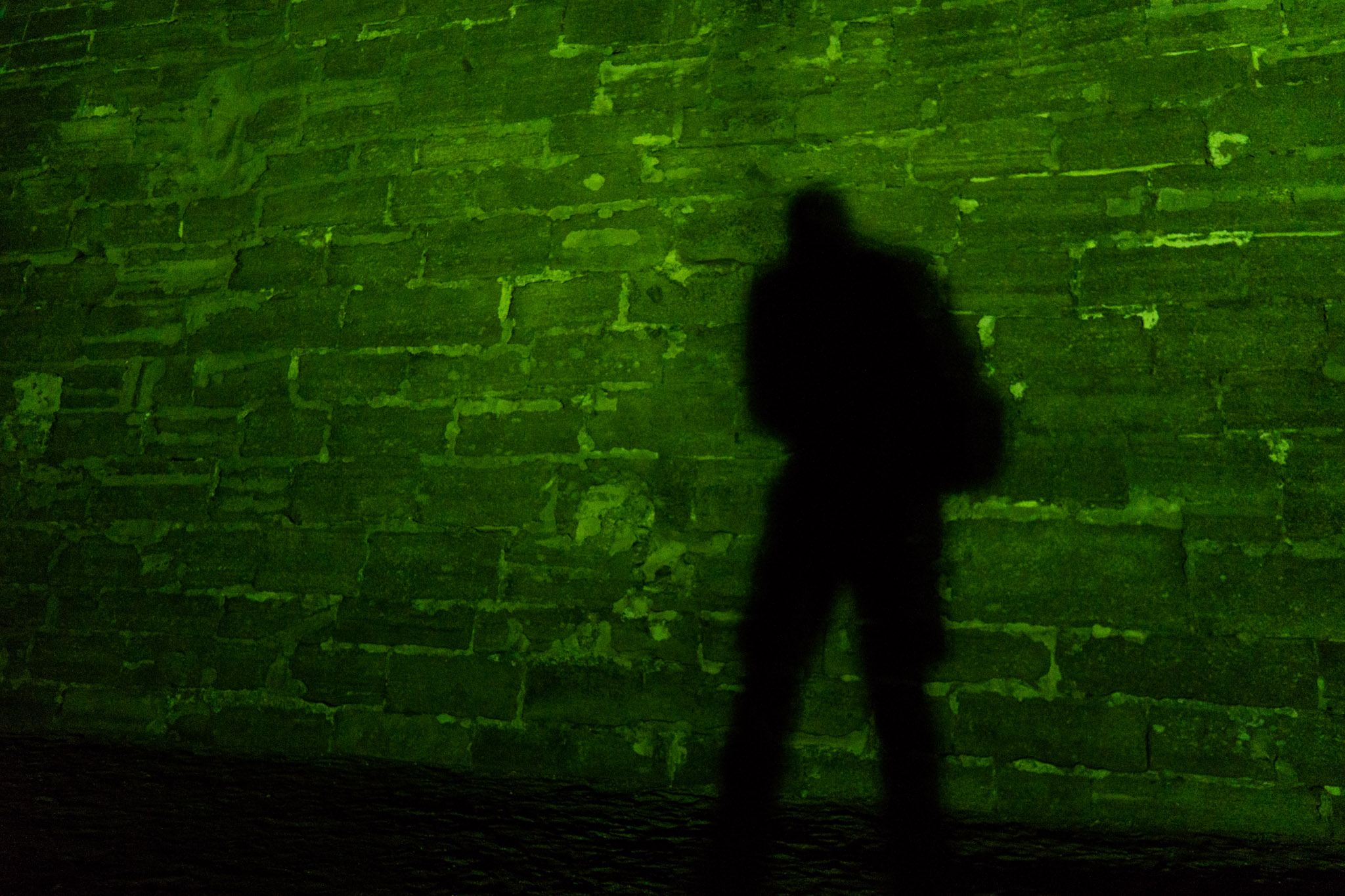 My shadow and I walking the grounds of the old Spanish fort, Castillo de San Marcos.