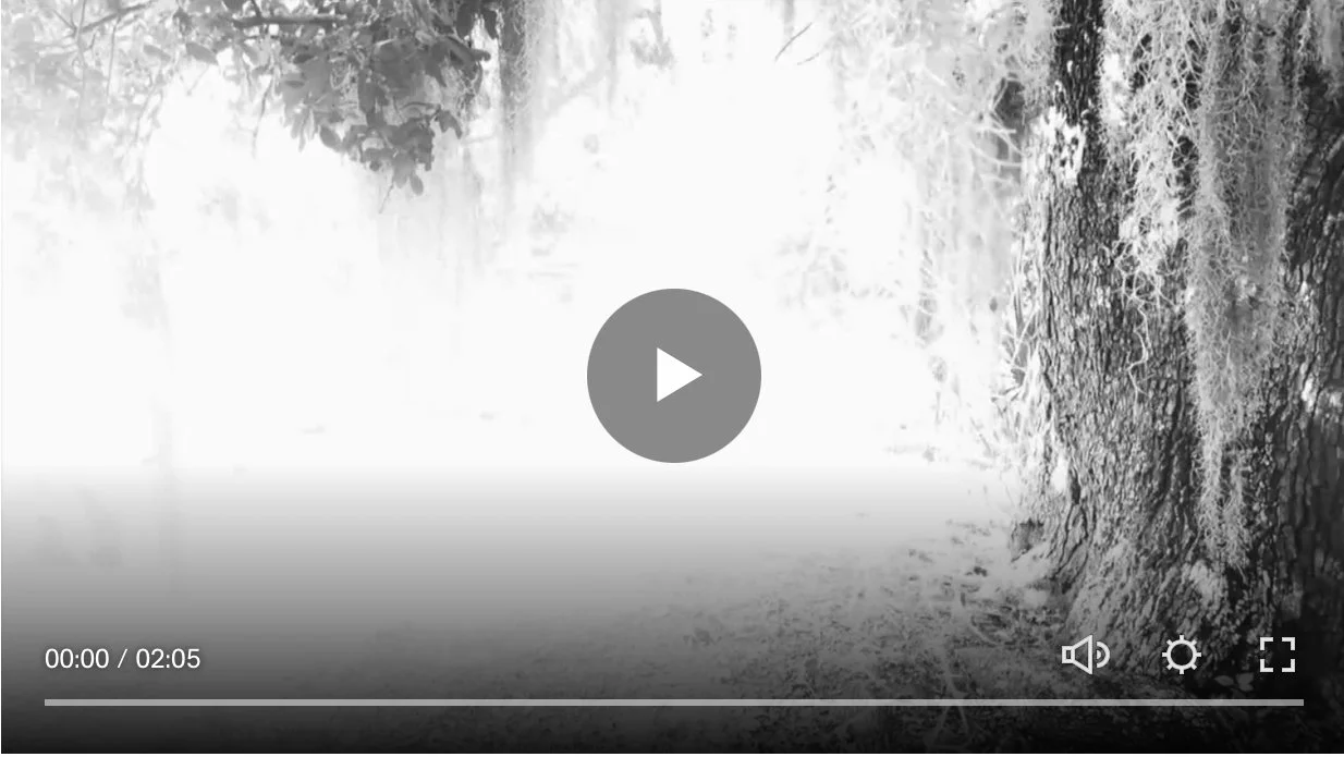 People are Buried Beneath the Dirt Here in New Orleans