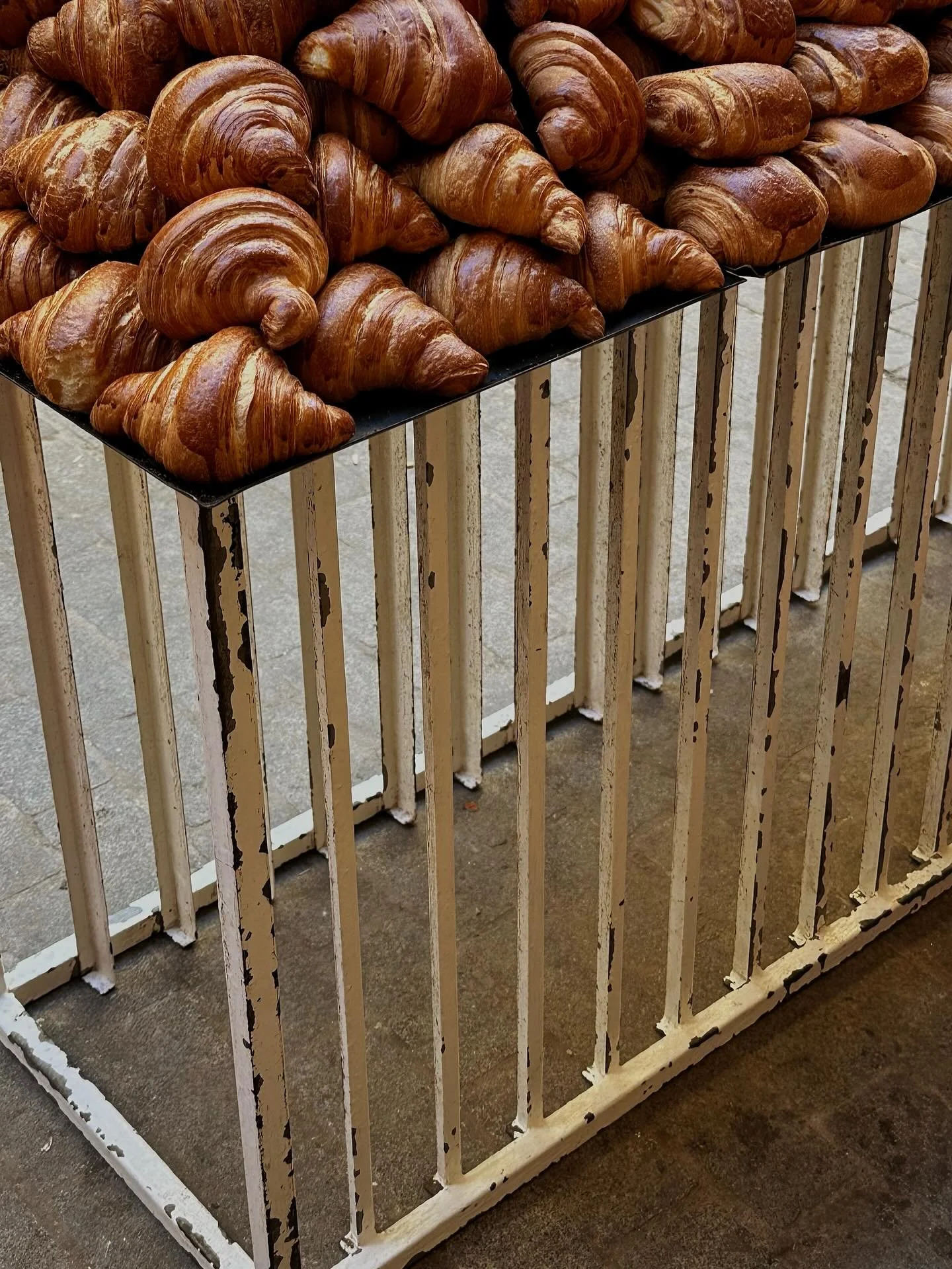 Northern Morocco, January 2026