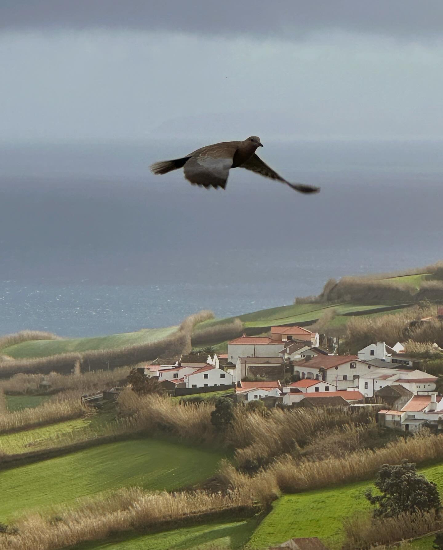 S&atilde;o Miguel Island, Azores, Portugal; January 2026