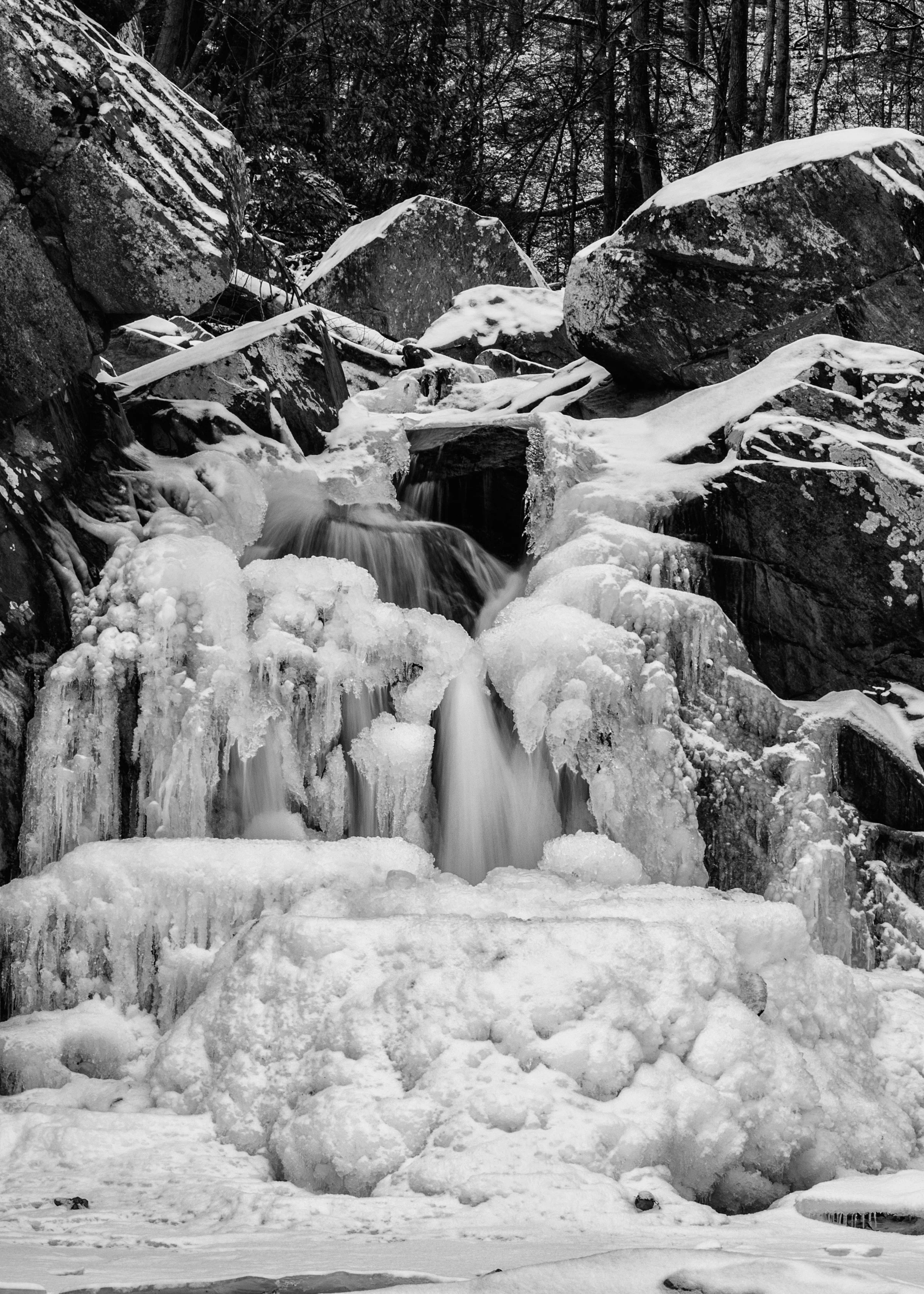 DSC_5989-copy.jpg