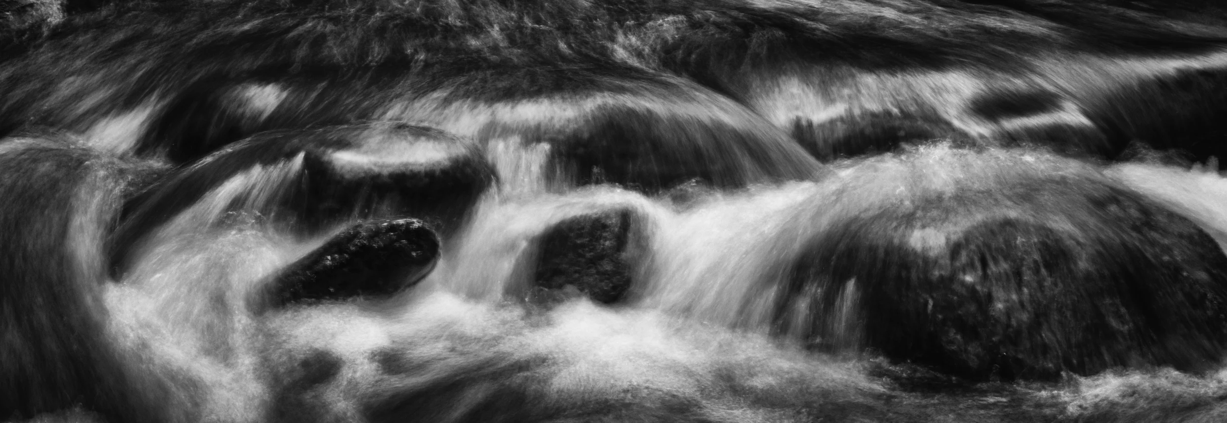 _DSC1290 copy.jpg