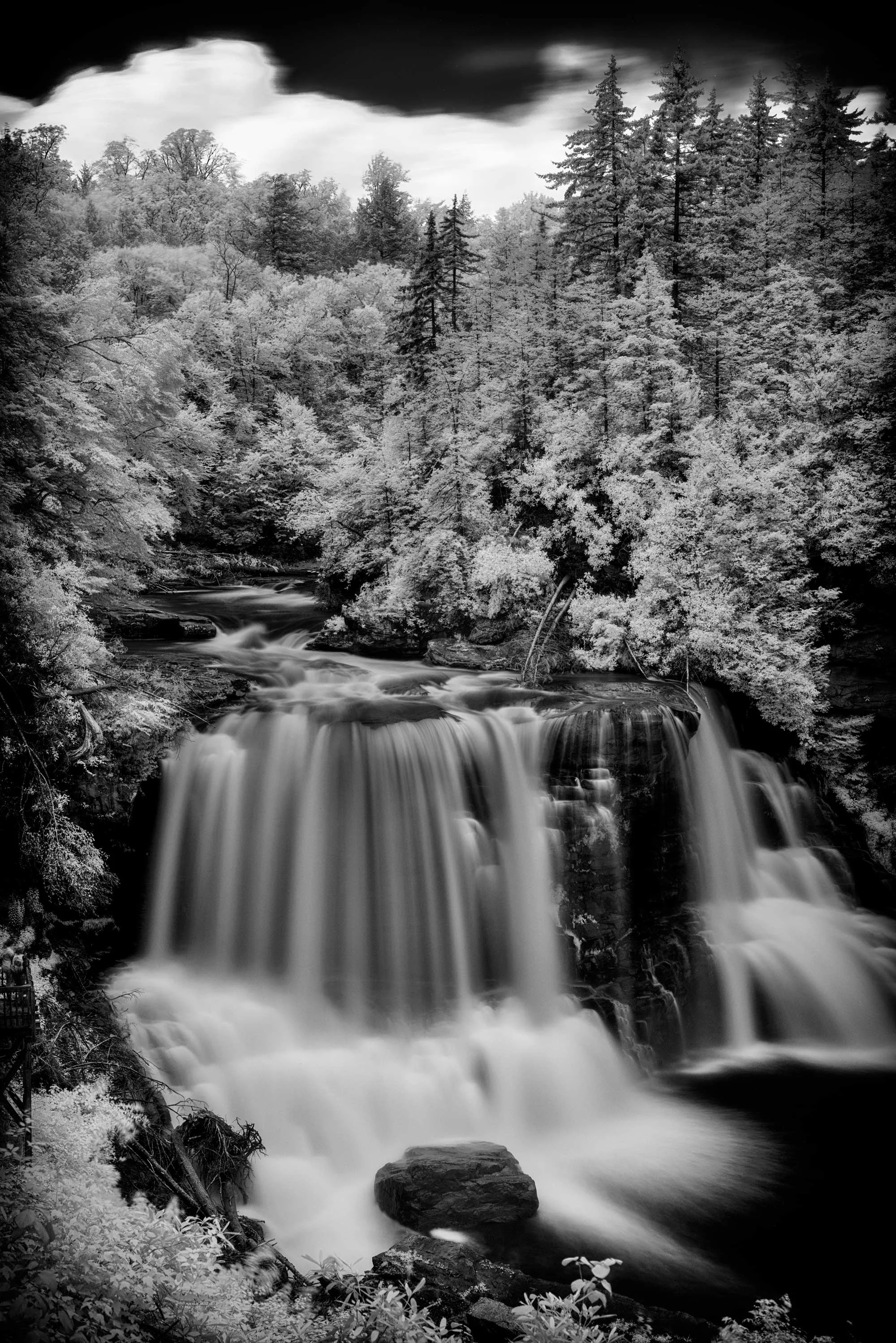 _DSC19212WEB.jpg