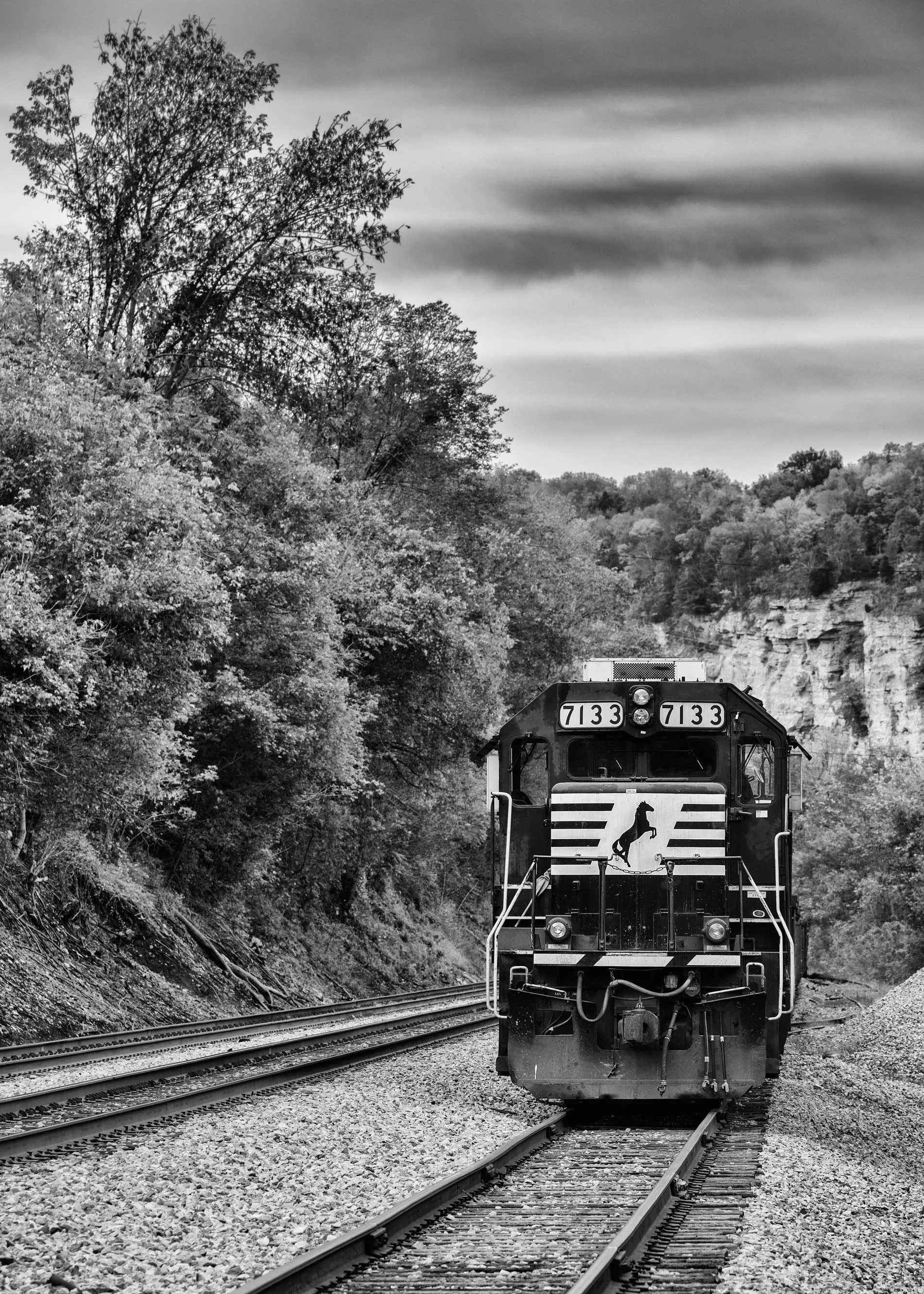 NorfolkTrainBW.jpg
