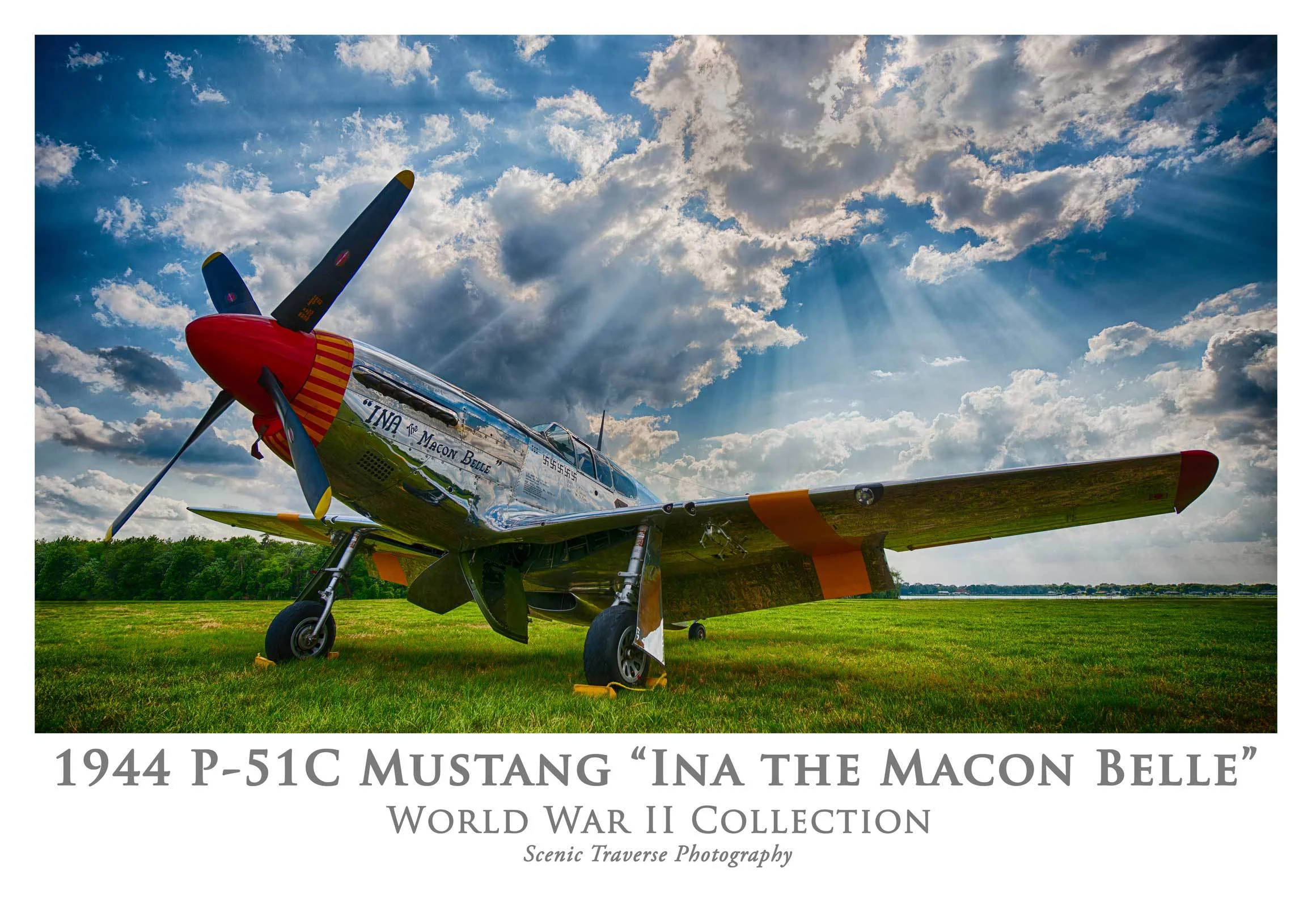 P-51 Mustang SMALL WEB.jpg