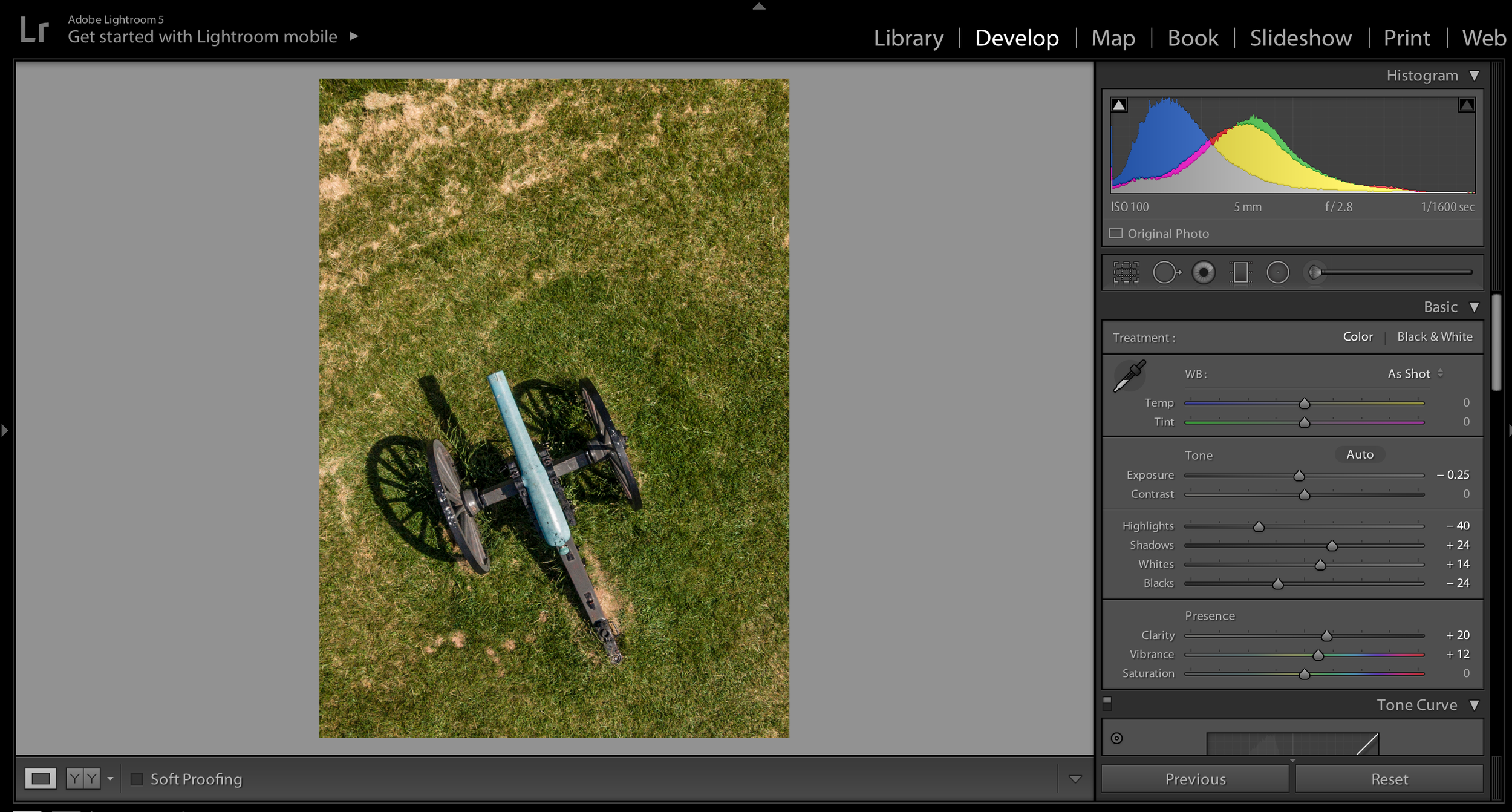The last step to give it a finished look is to play with the clarity and vibrance sliders to improve color contrast. There is too much of both of these sliders - a little goes a long way!