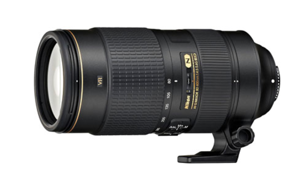Which Lens to Buy: Sigma 150-500 or Nikon 80-400 or Tamron Which Lens to Buy: Sigma 150-500 or Nikon 80-400 or Tamron