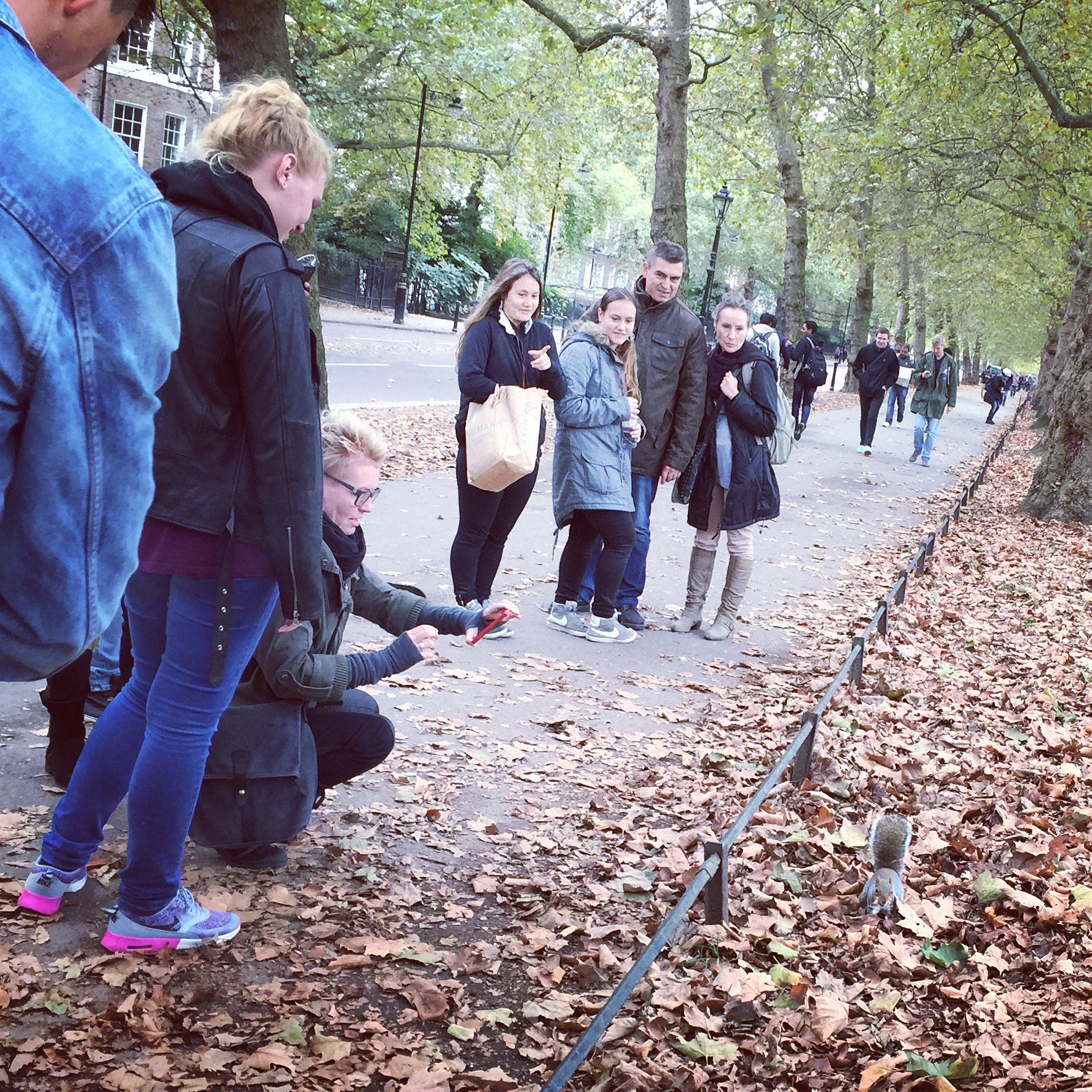 A squirrel performing for his captive audience of mainland Europeans.....