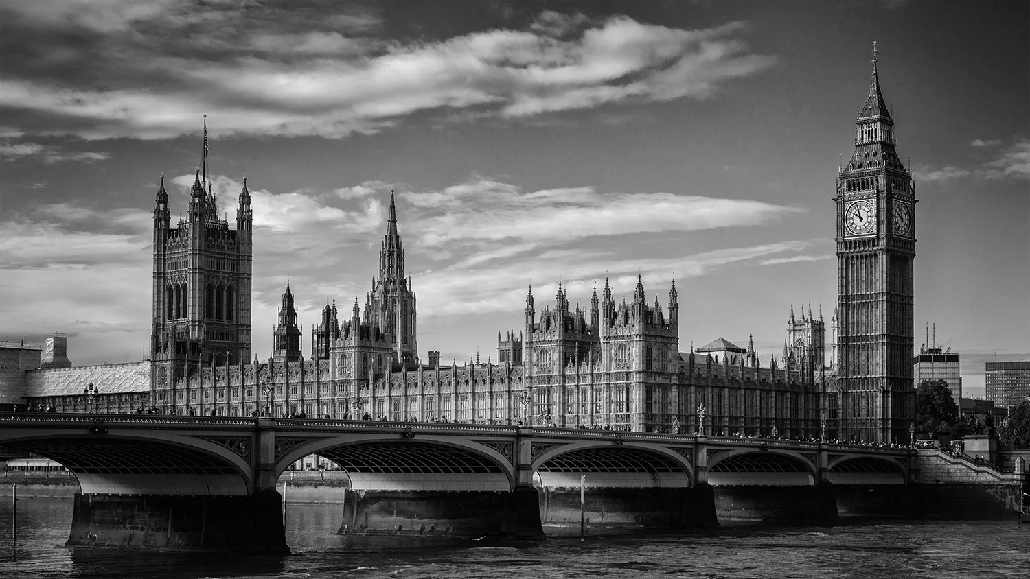 _DSC3207 WEB.jpg