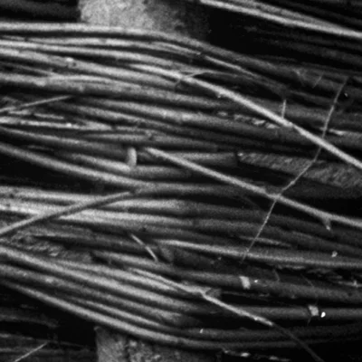 A super crop (200%) of a 900dpi scan on an Epson V700. This isn't even remotely close to the best scan quality possible, but the detail and sharpness is very apparent. The grain is very fine and not overbearing.