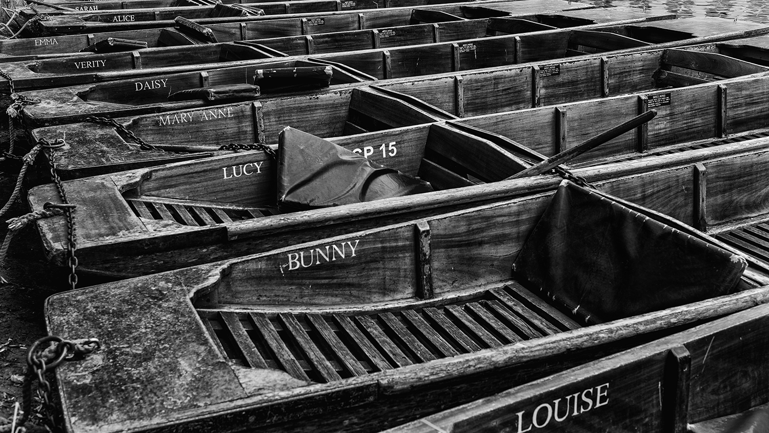 A row of punts lined up on the River Cam