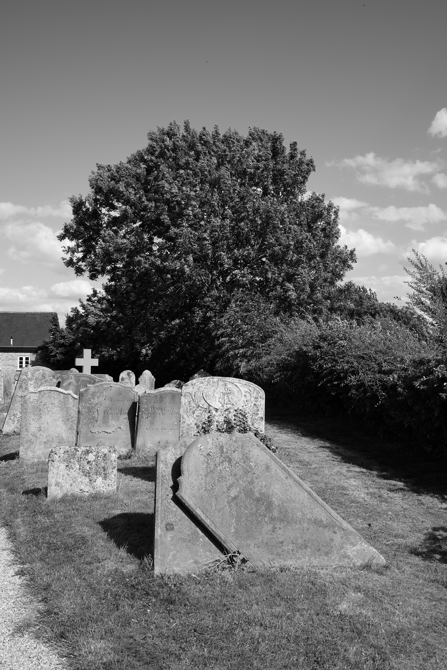 I chose this subject for this test due to the wide dynamic range and shadows / highlights. The camera generated an acceptable black and white image, but it's fairly "routine" black and white.