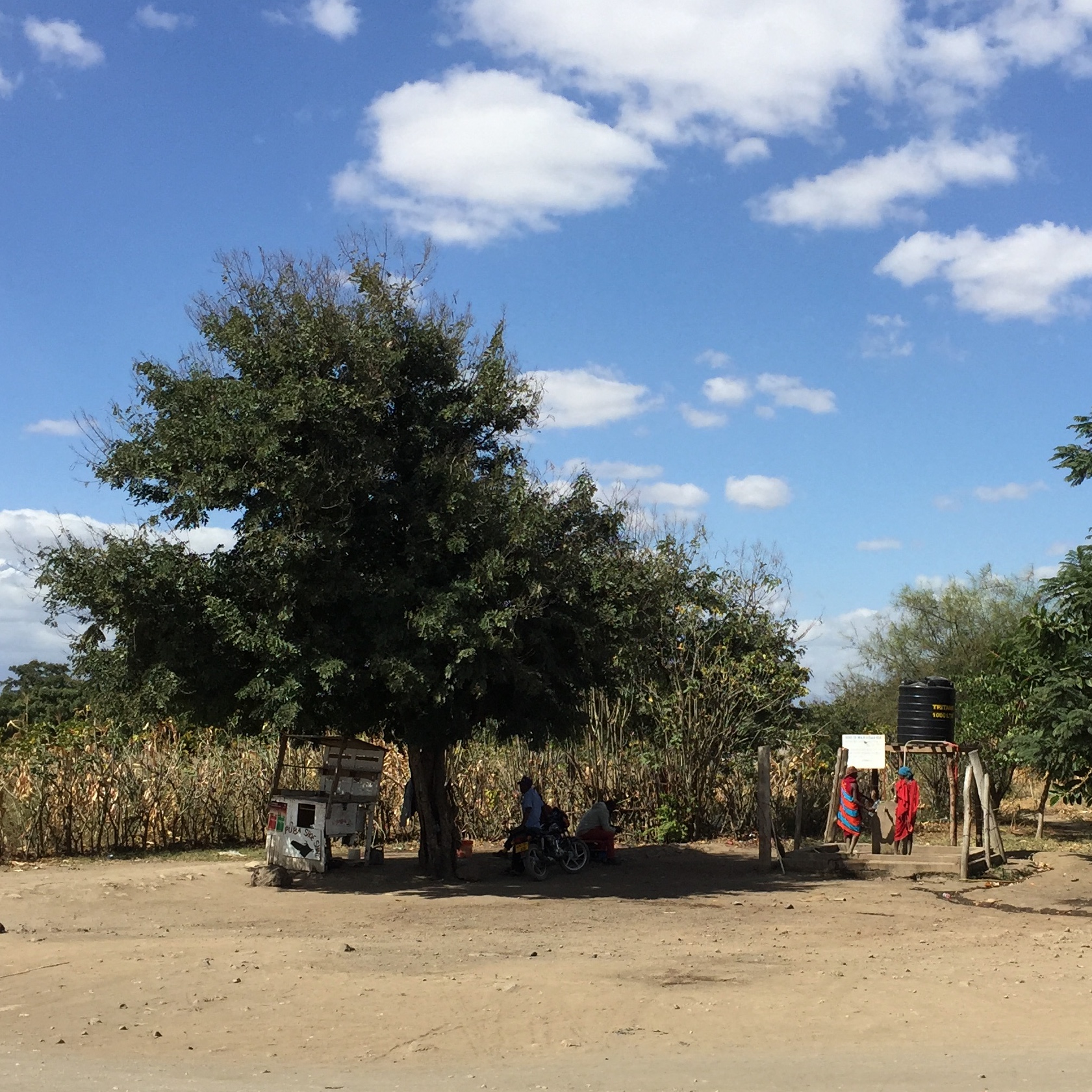 Some women gathering water from a well along the road
