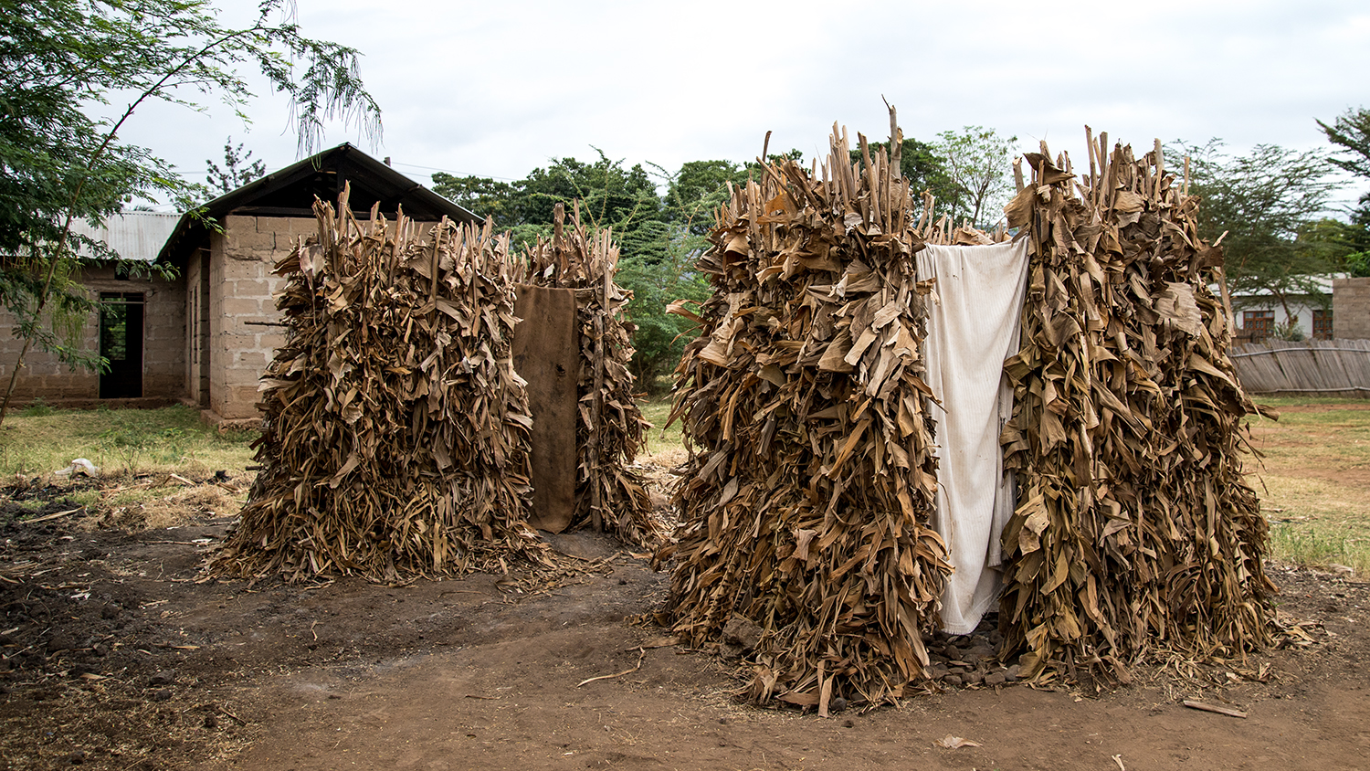 Toilets - but no water! The walls are made from dried corn stalks (fresh corn would be eaten by the cows and you don't want your toilet eaten away!). Inside is a hole dug into the ground - no seat.