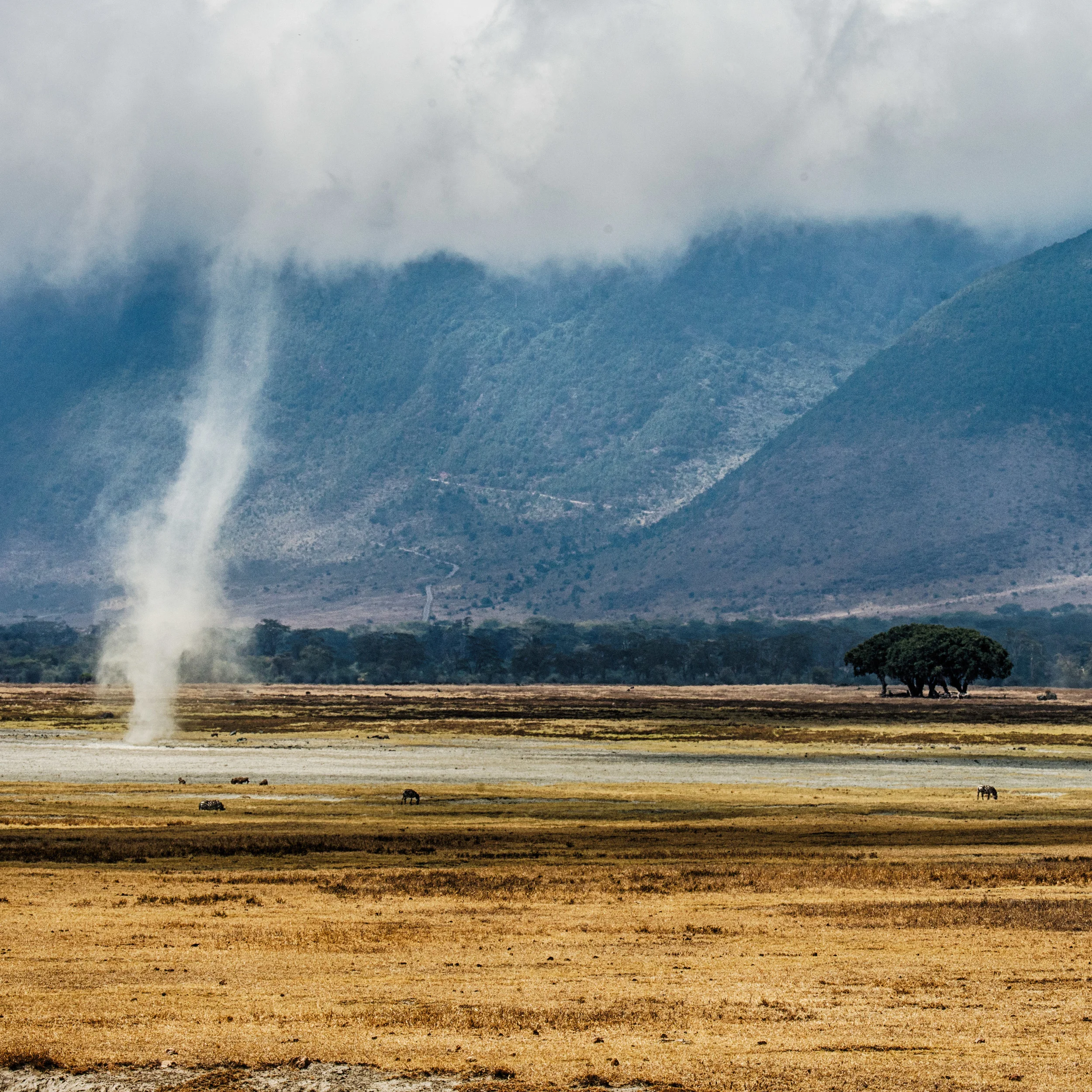 Dust Tornado
