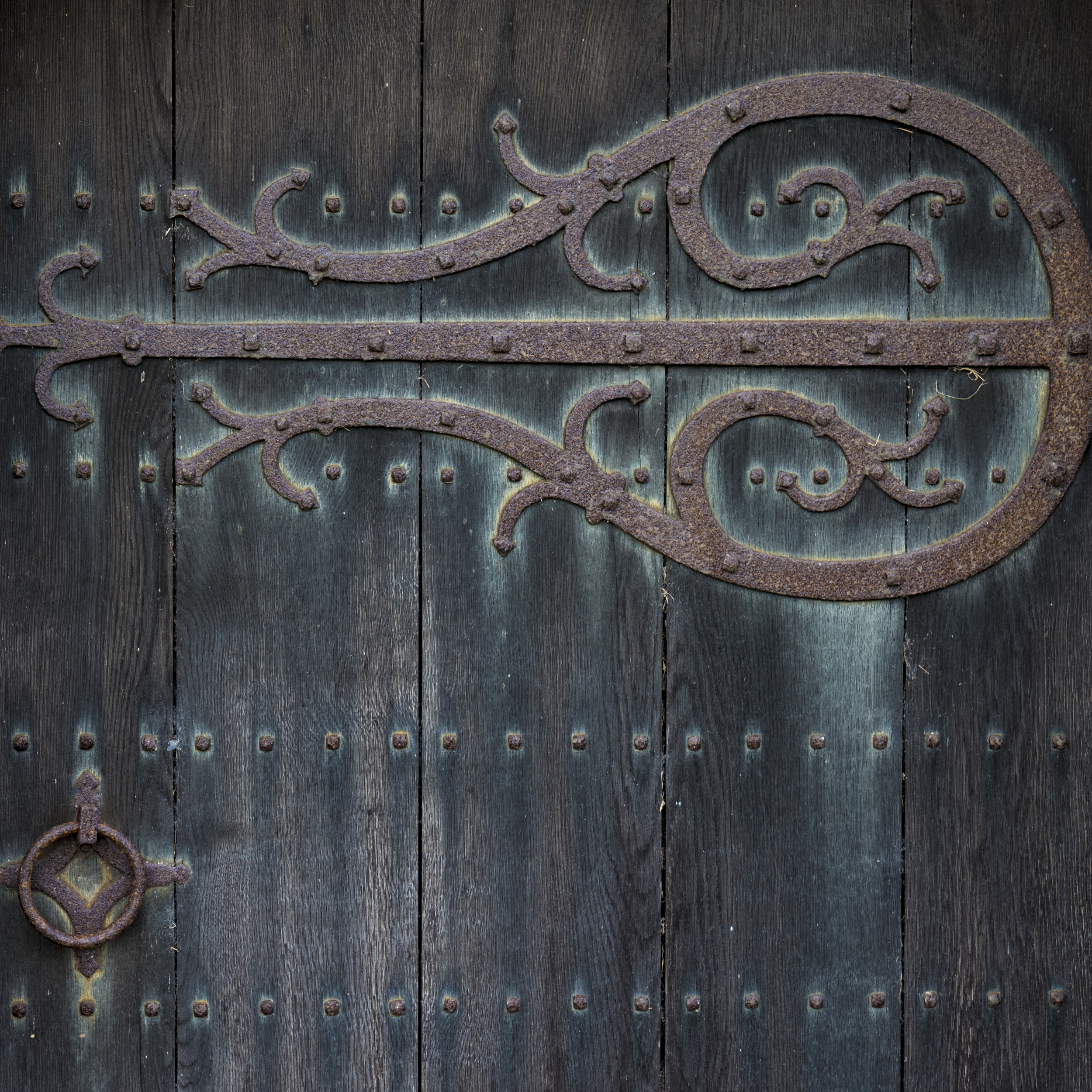 Check out the detail and sharpness! I barely touched any sliders in Adobe Lightroom to get this image from the RAW .DNG file.