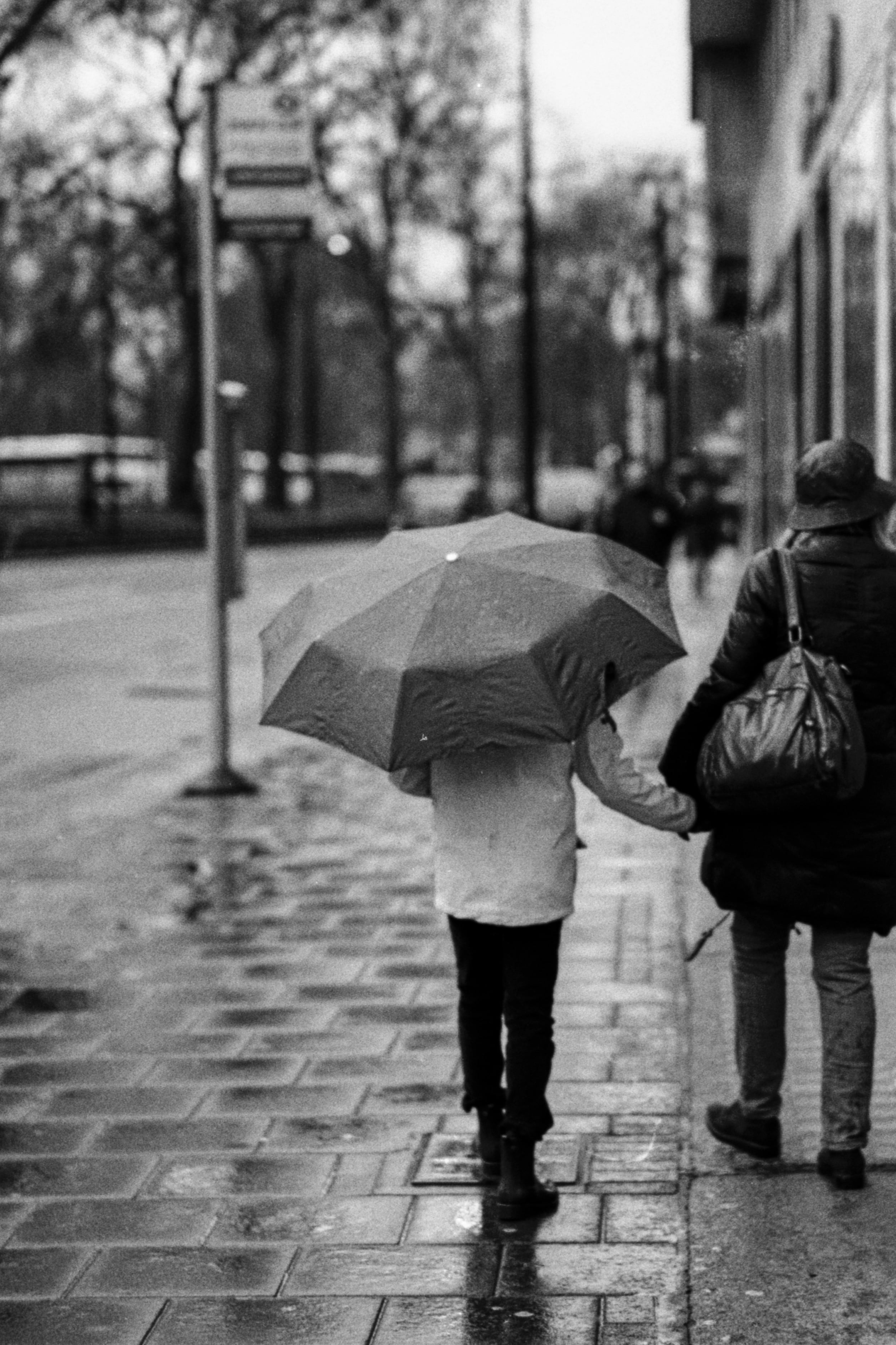 Drizzles