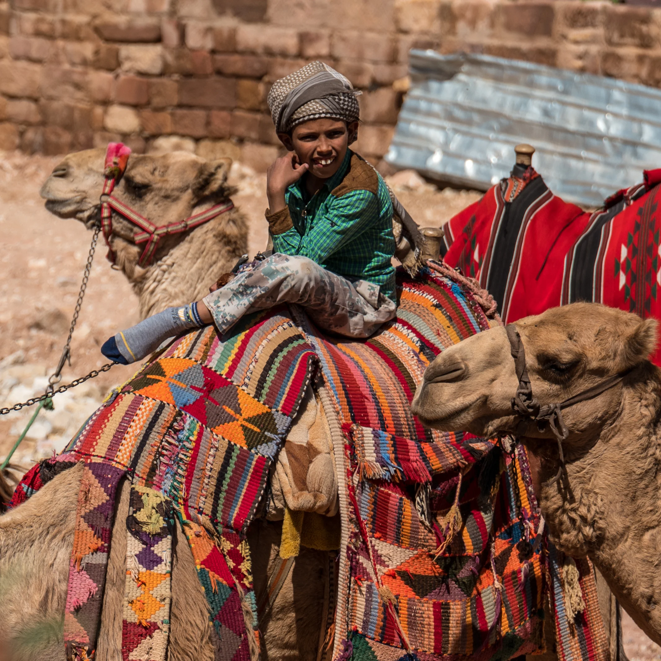 Camel Herder