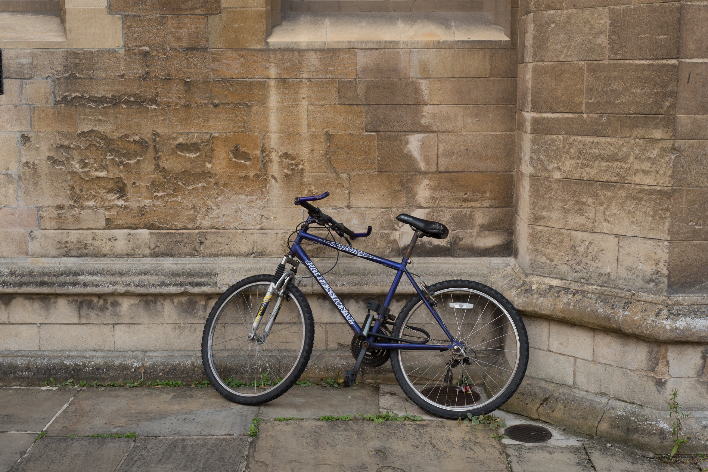 Bike - Leica Q @ f/5.6 (50mm crop)