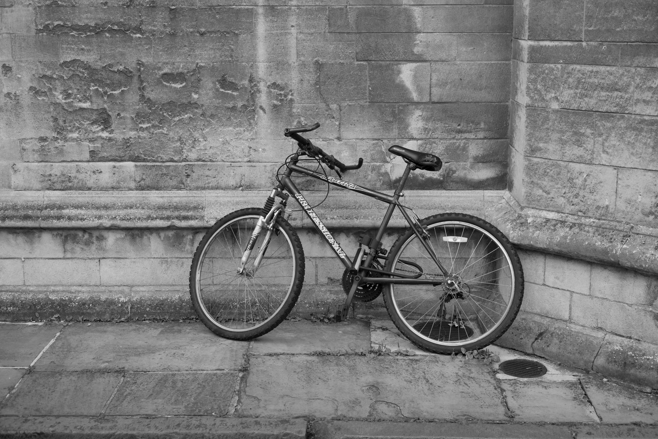 Leica M Monochrom image