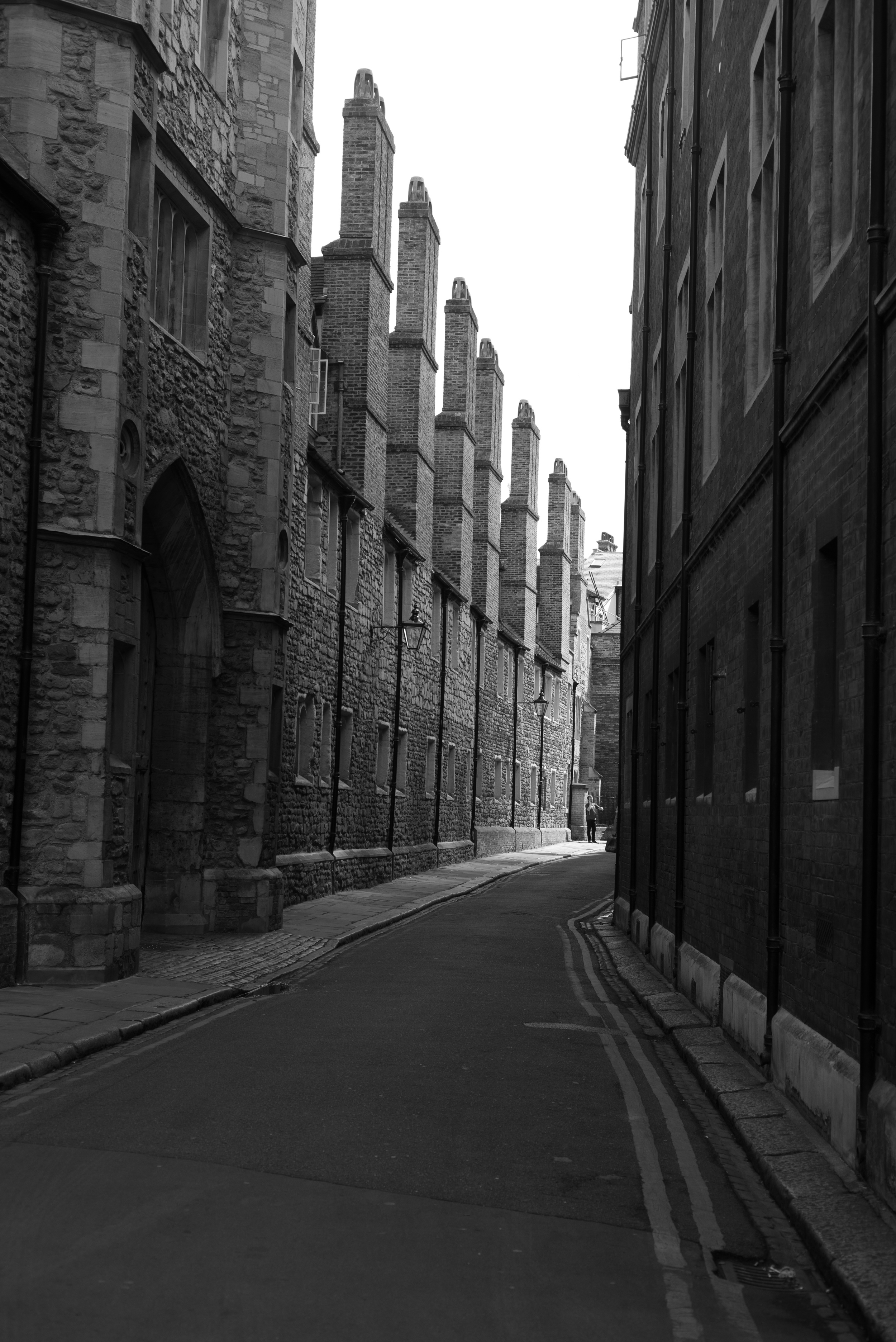 Leica M Monochrom image